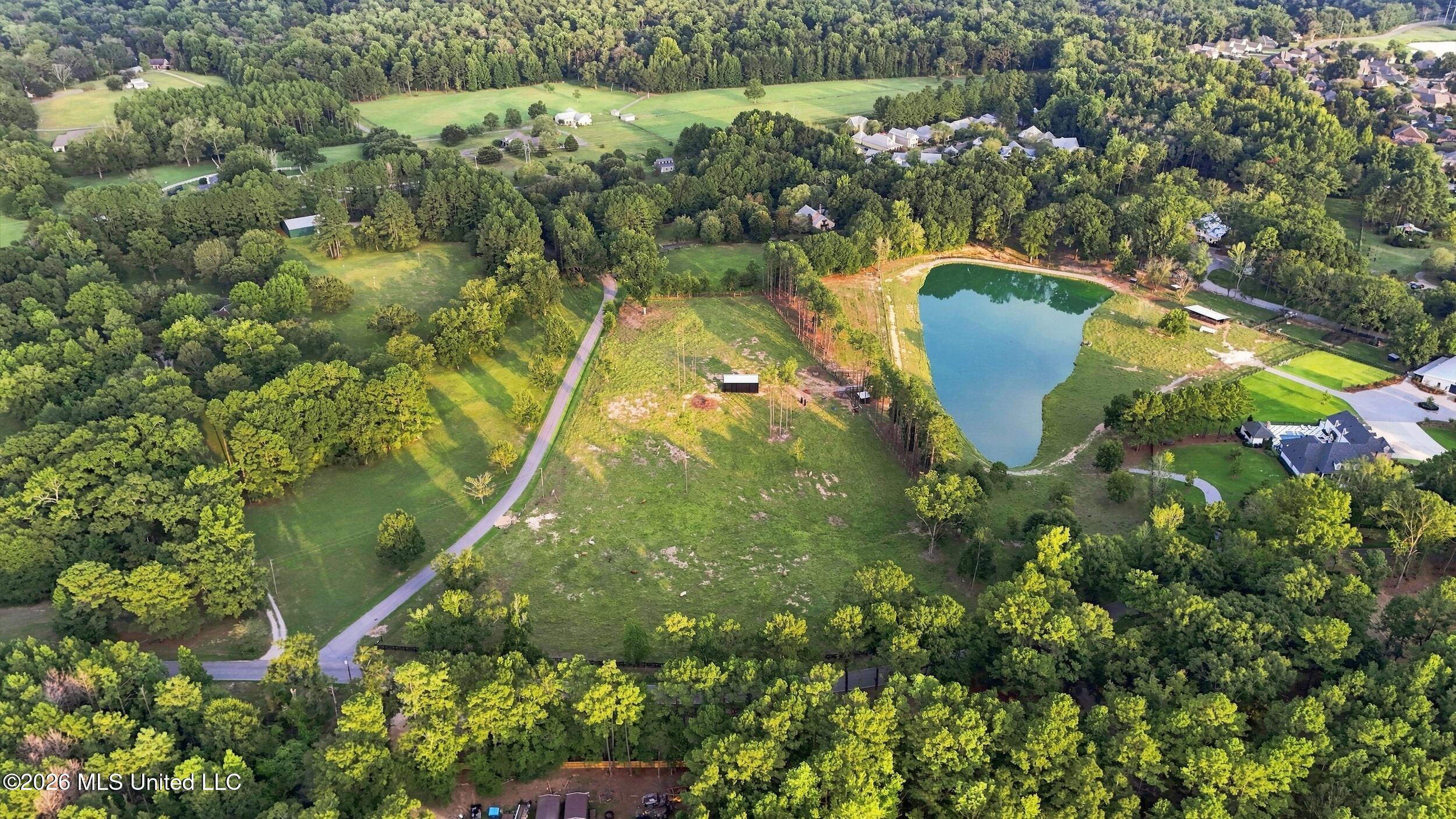 282 Ralph Rawls Road Property Photo 134