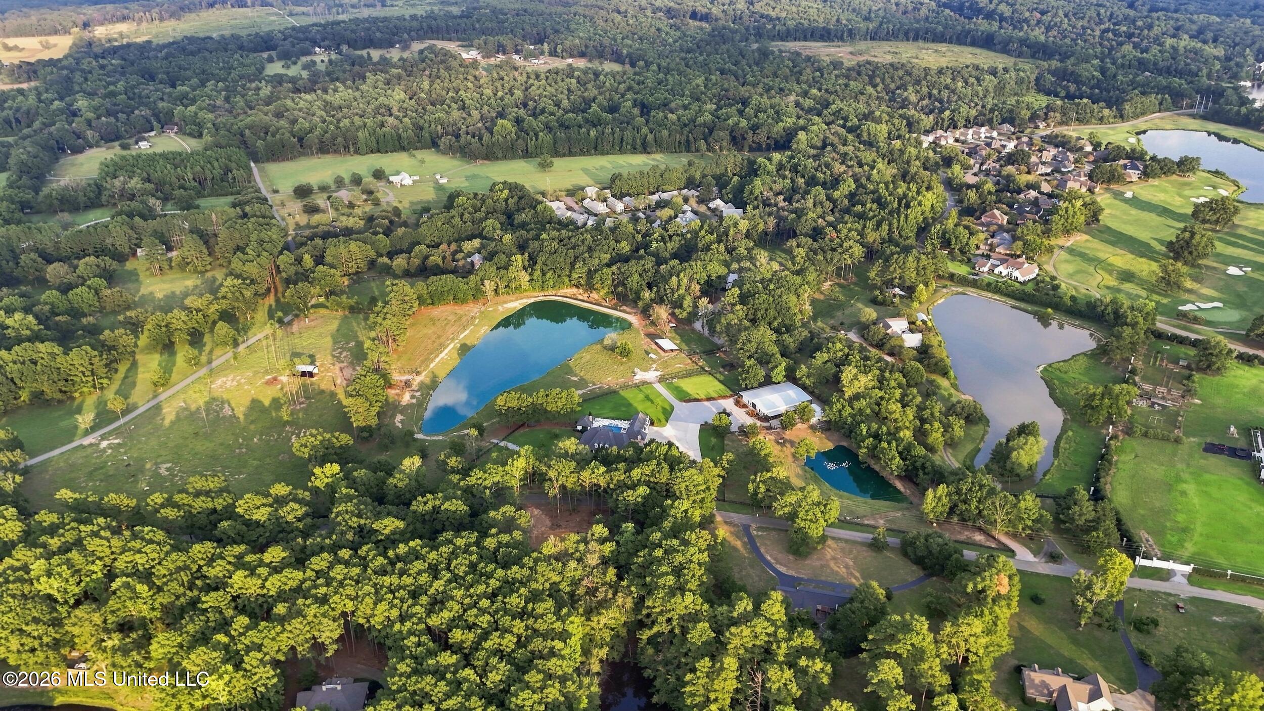 282 Ralph Rawls Road Property Photo 138