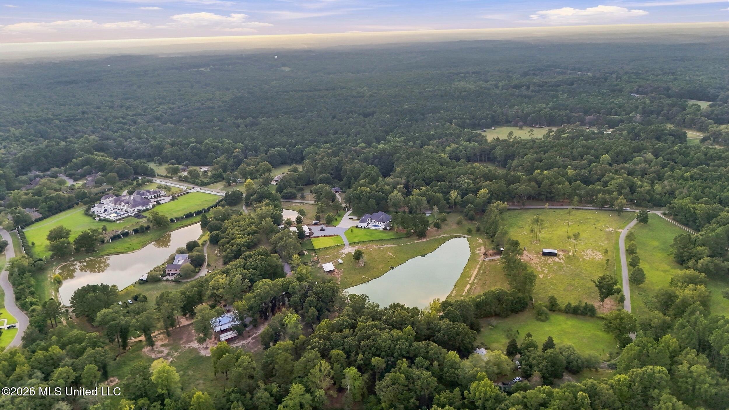 282 Ralph Rawls Road Property Photo 141