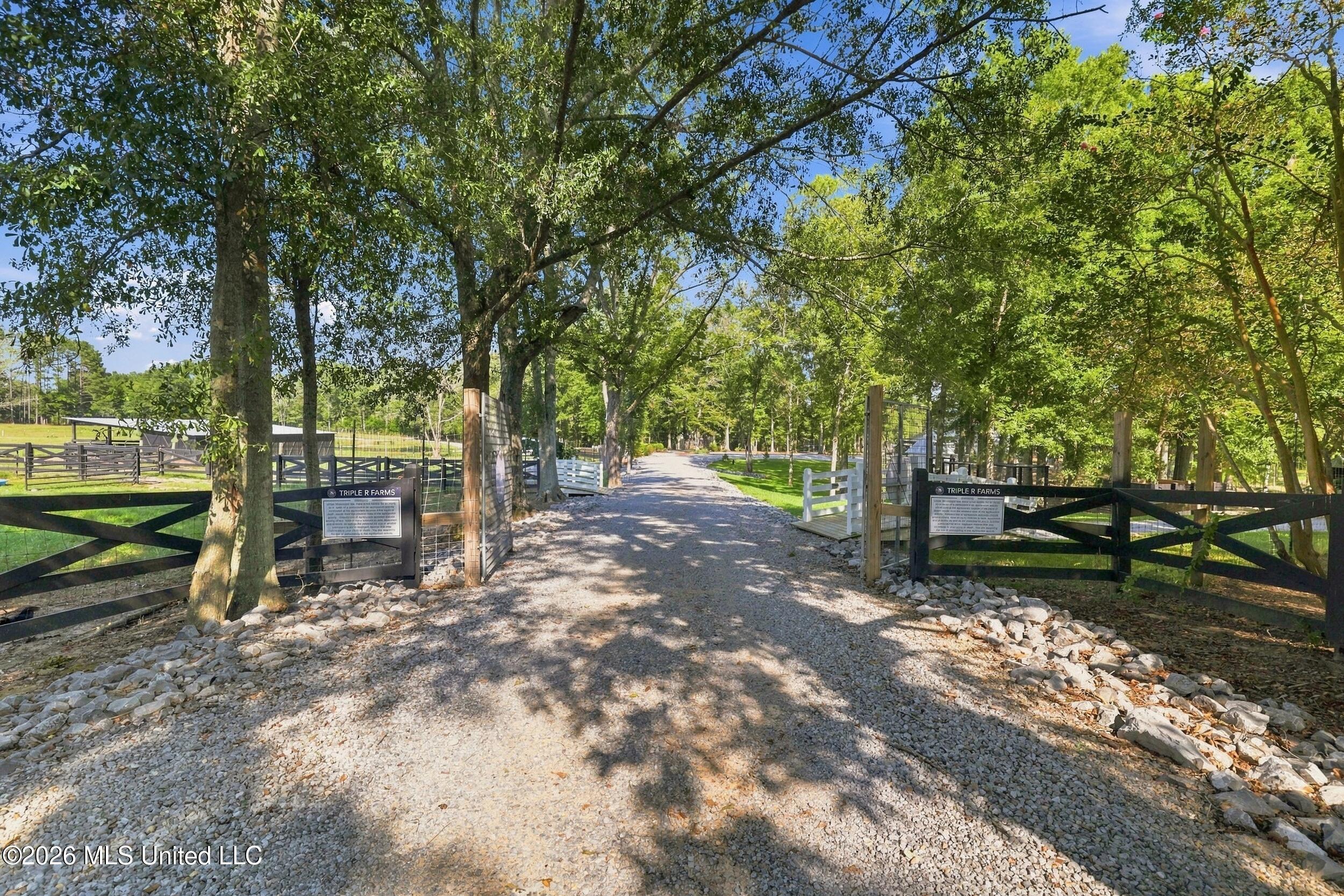 282 Ralph Rawls Road Property Photo 143