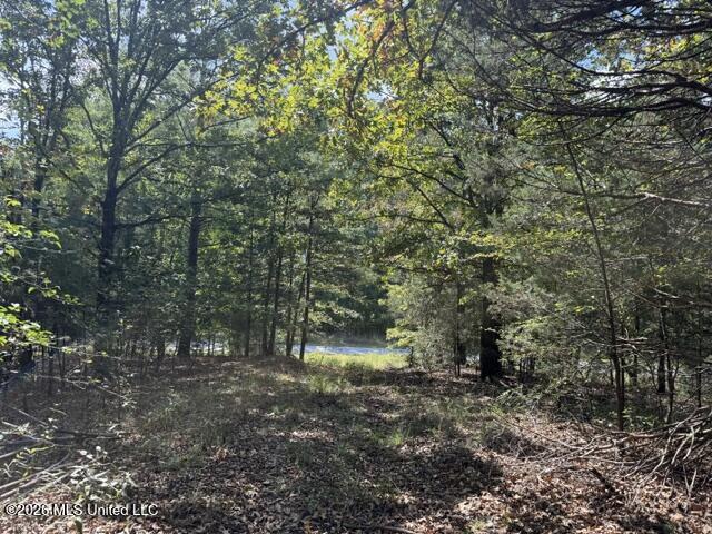 David Cove Property Photo 1