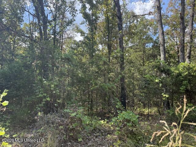 David Cove Property Photo 2