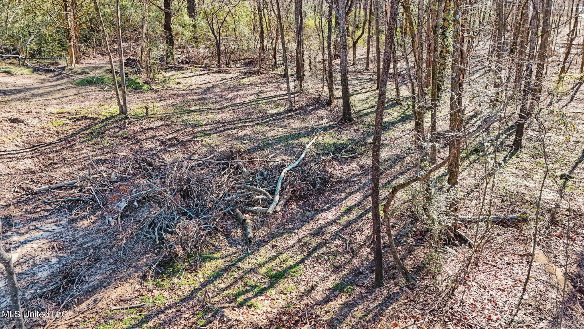 Box Corner Road Property Photo 10