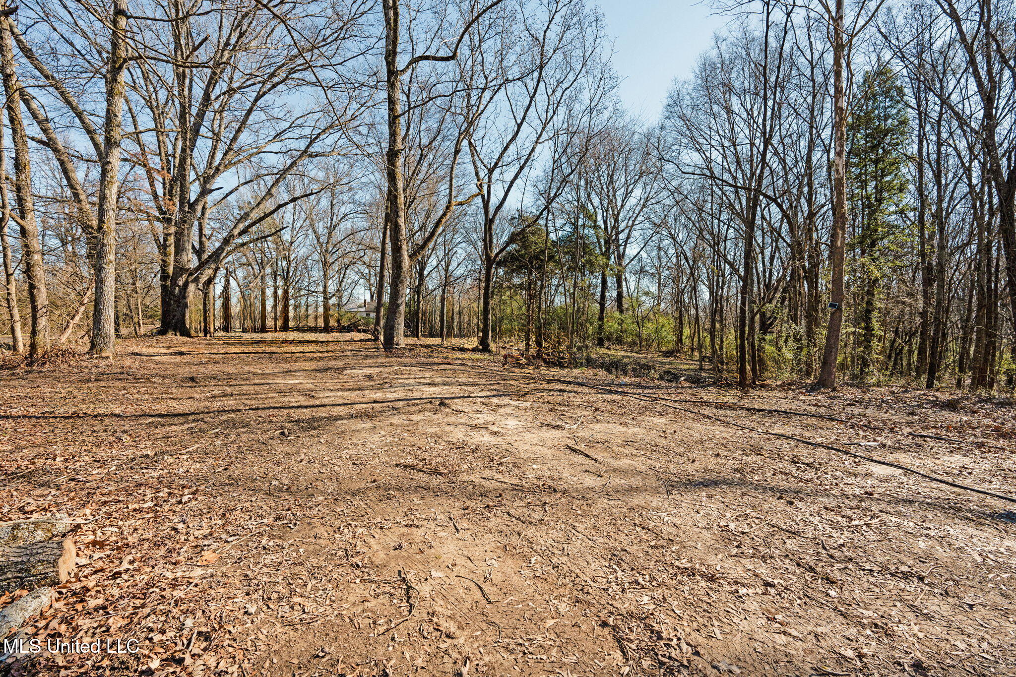 Box Corner Road Property Photo 15