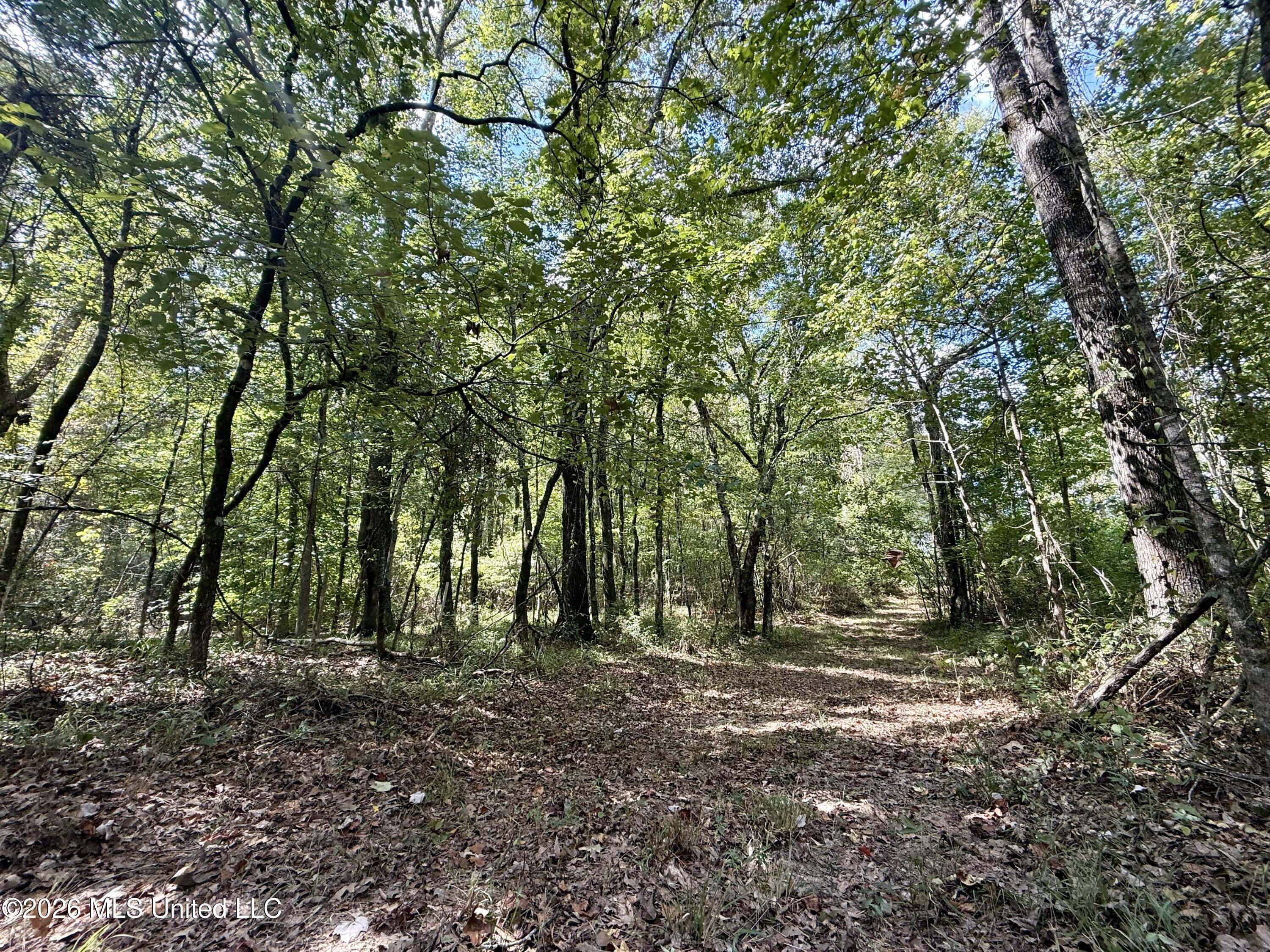 Cooper Road Property Photo 6