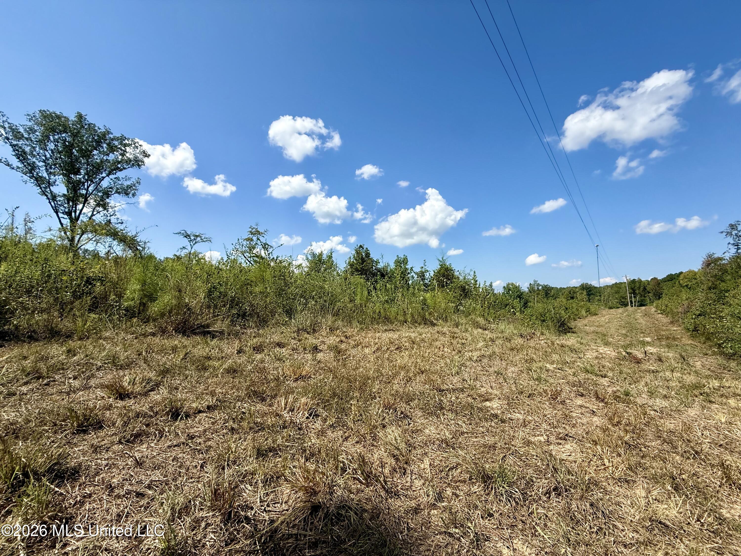 Cooper Road Property Photo 7