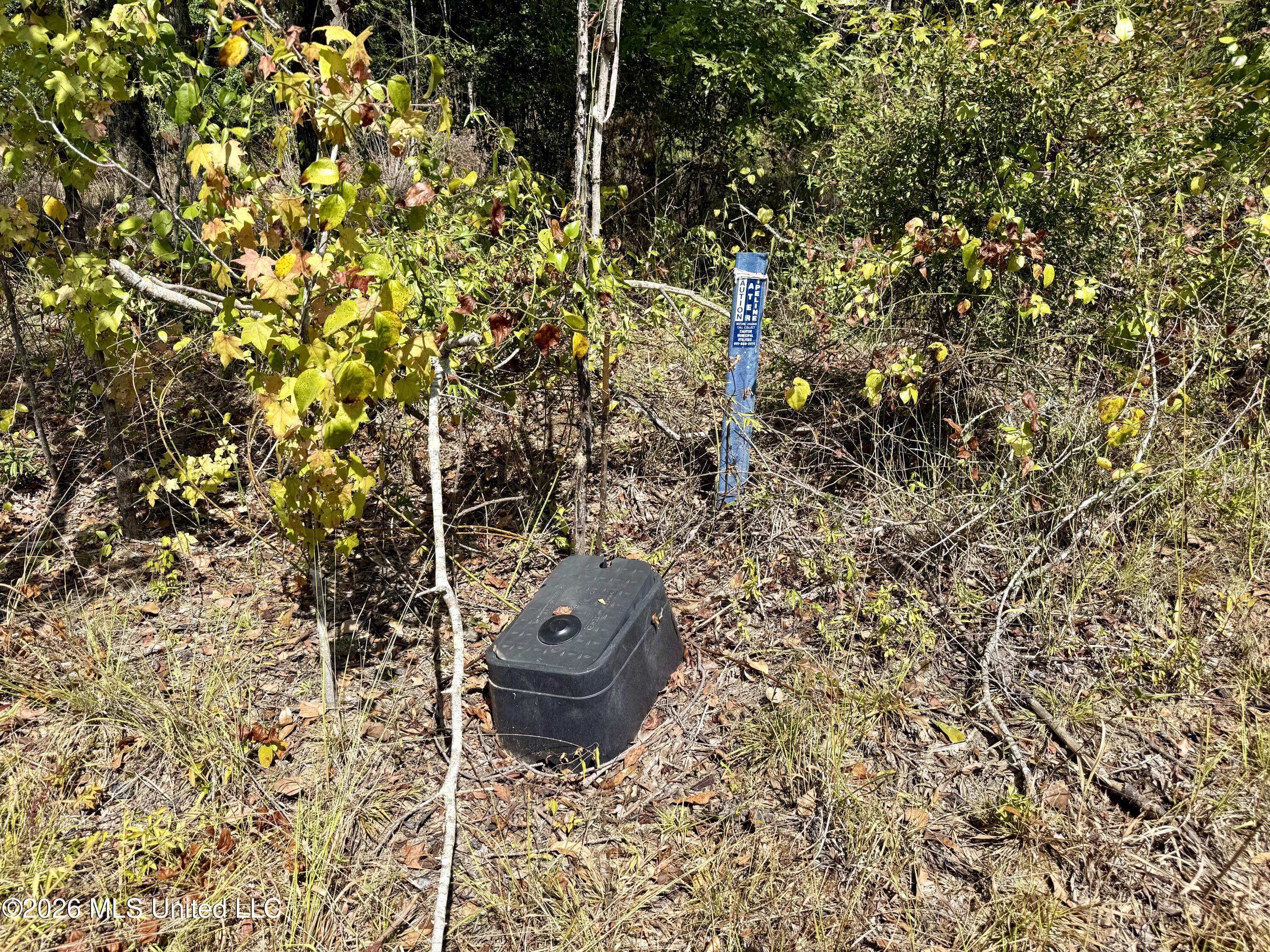 Cooper Road Property Photo 8