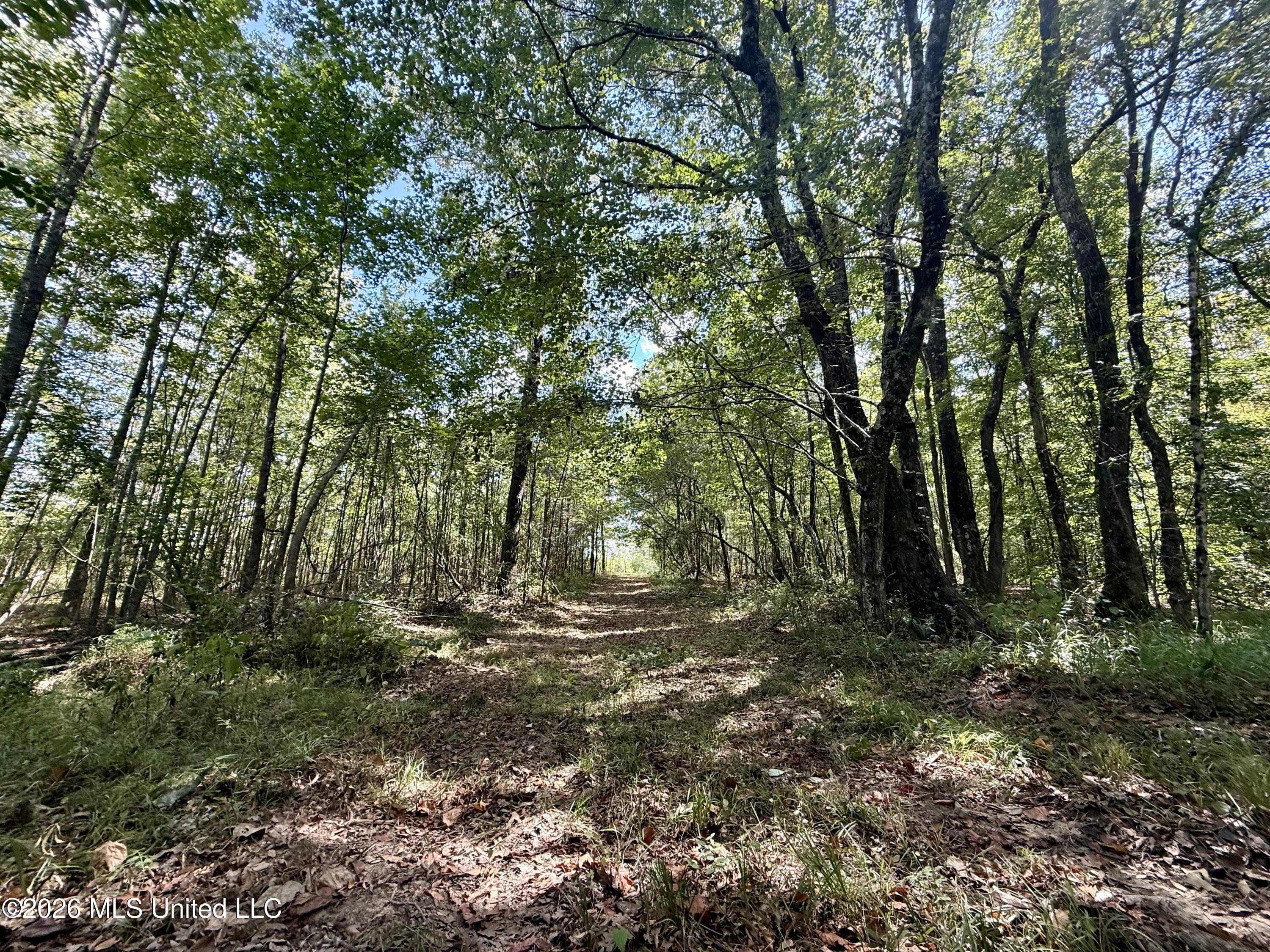 Cooper Road Property Photo 9