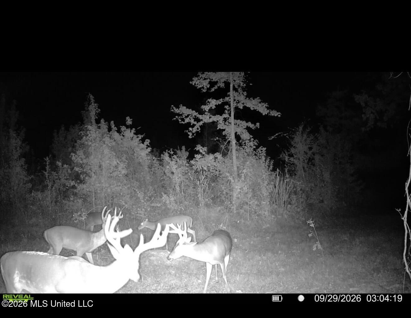 Cooper Road Property Photo 13