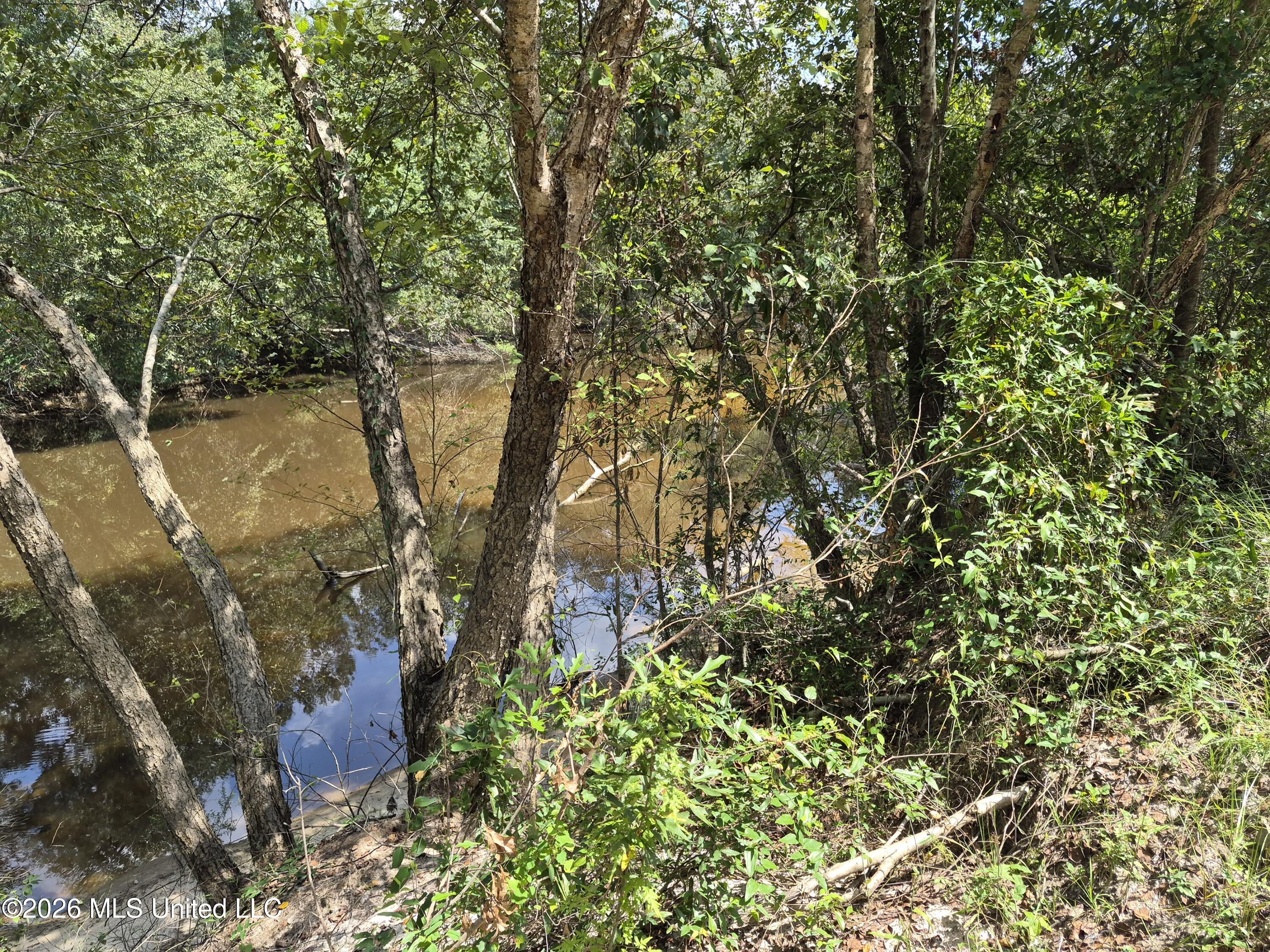 13756 River Road Property Photo 19
