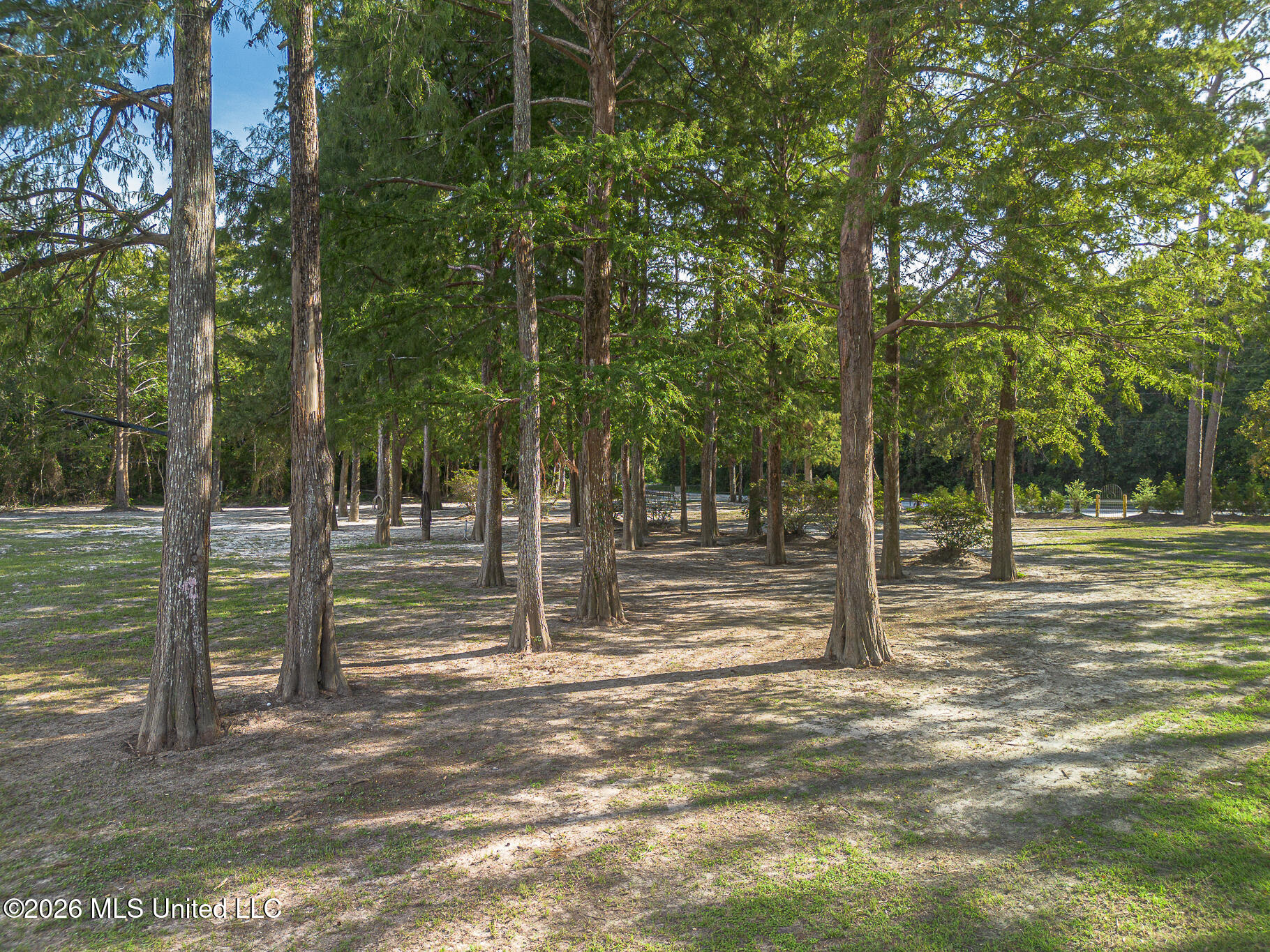 13756 River Road Property Photo 37