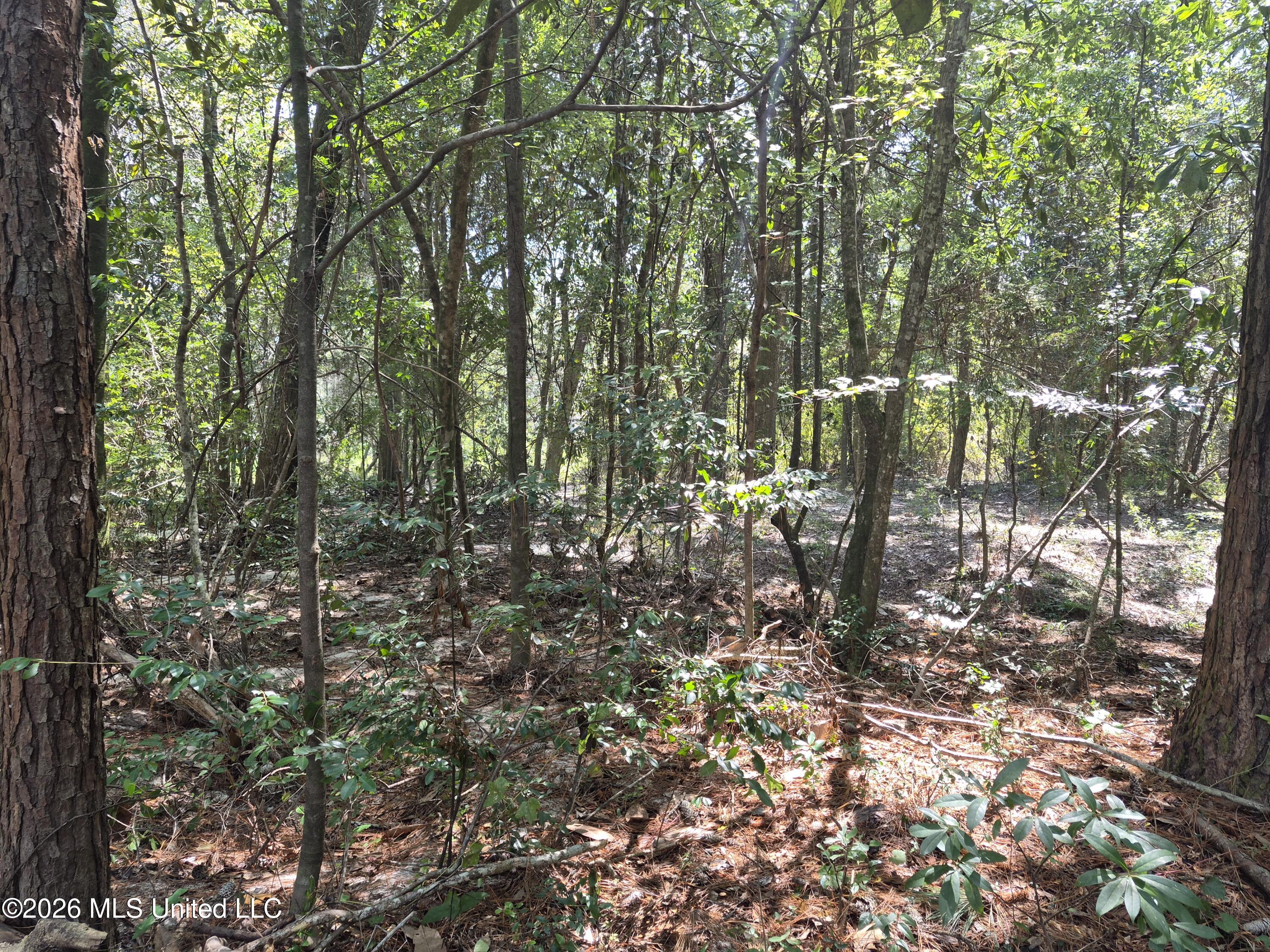 13756 River Road Property Photo 47