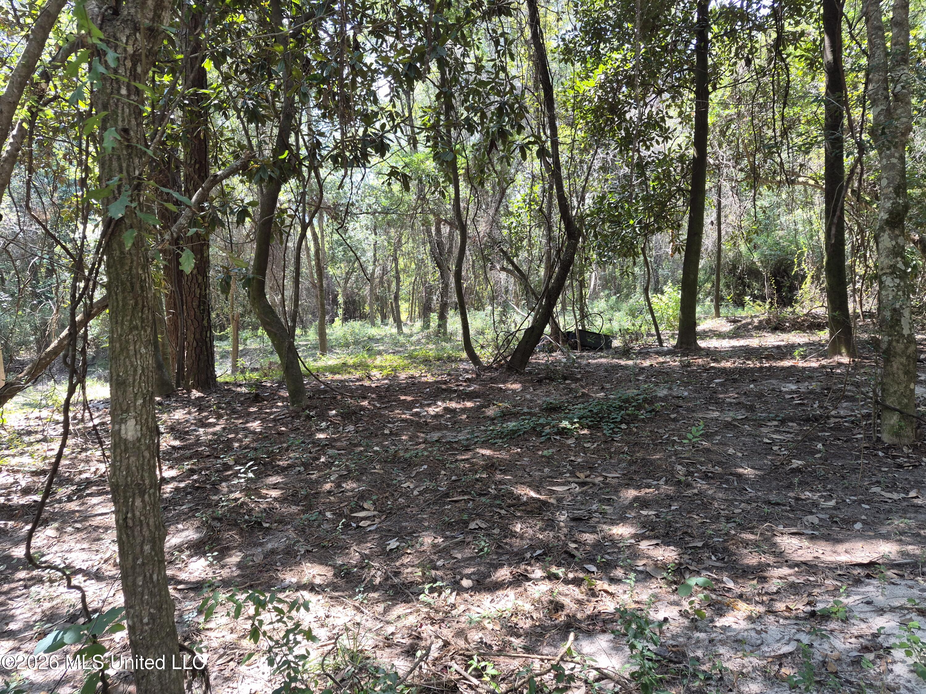 13756 River Road Property Photo 48