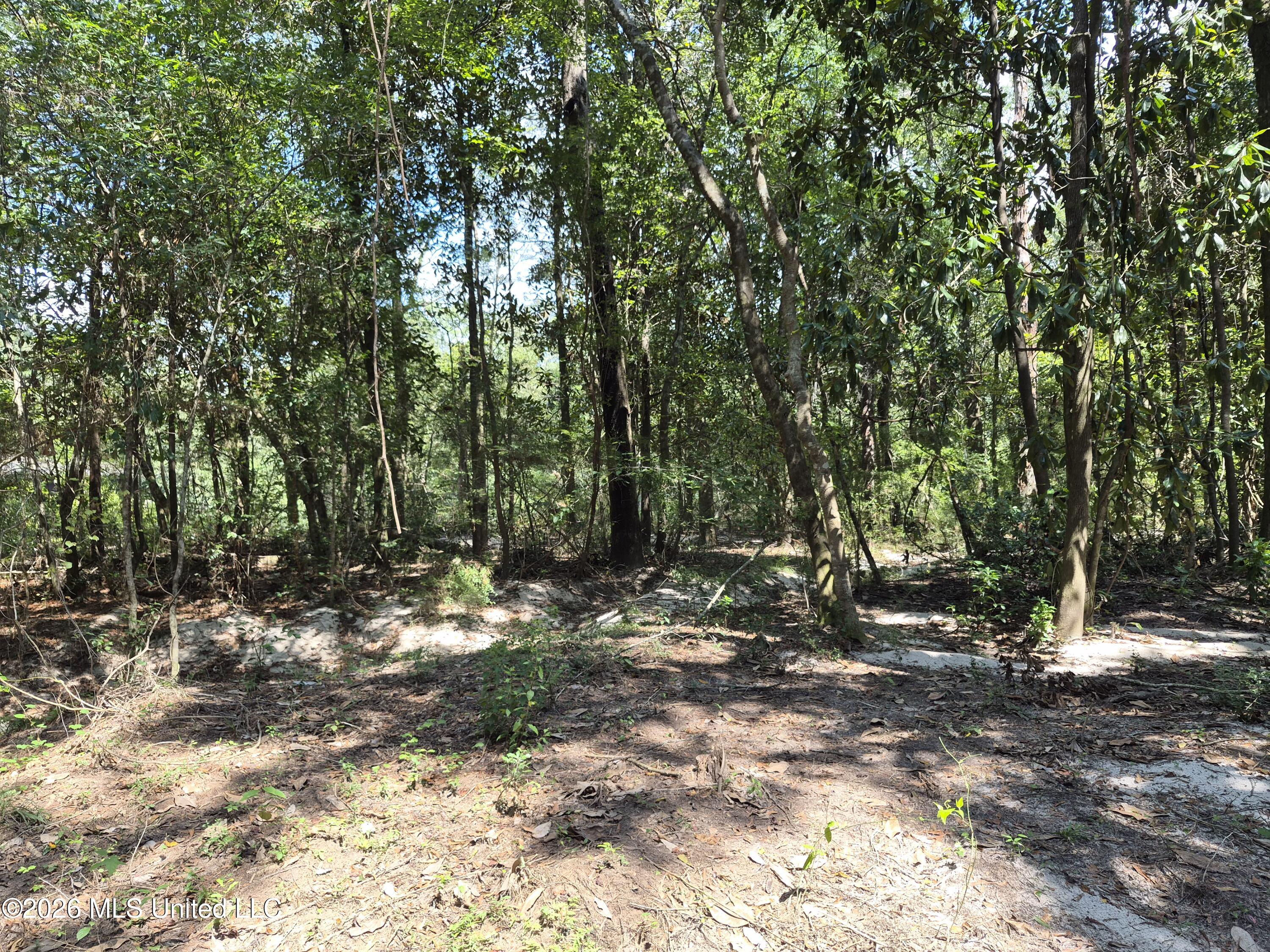13756 River Road Property Photo 49