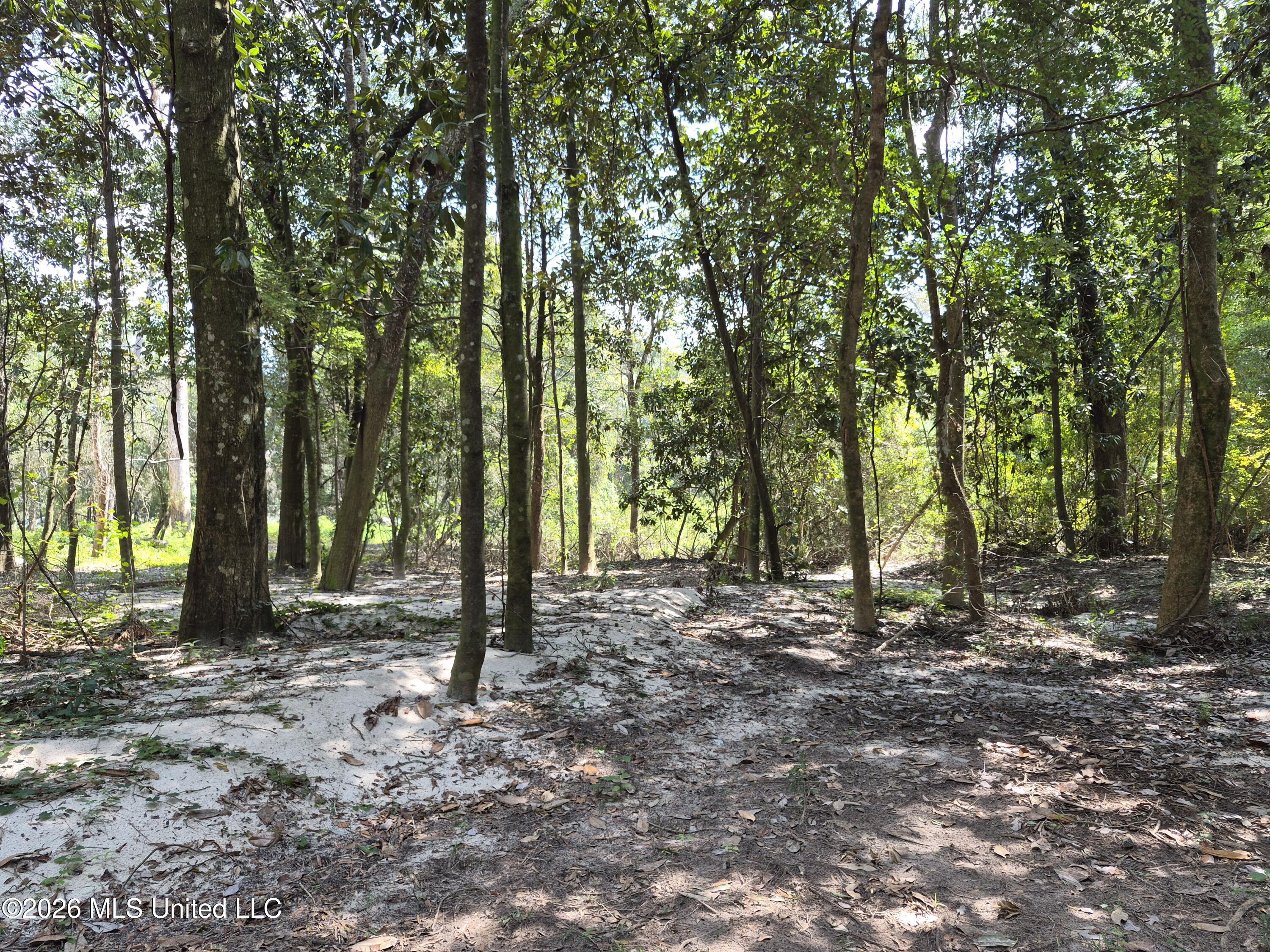 13756 River Road Property Photo 50