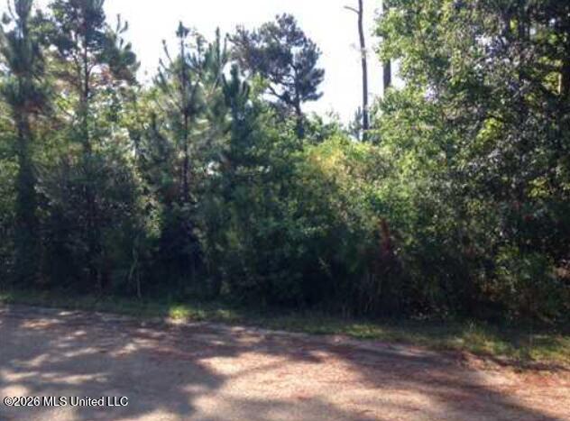 Beechwood Street Property Photo 1