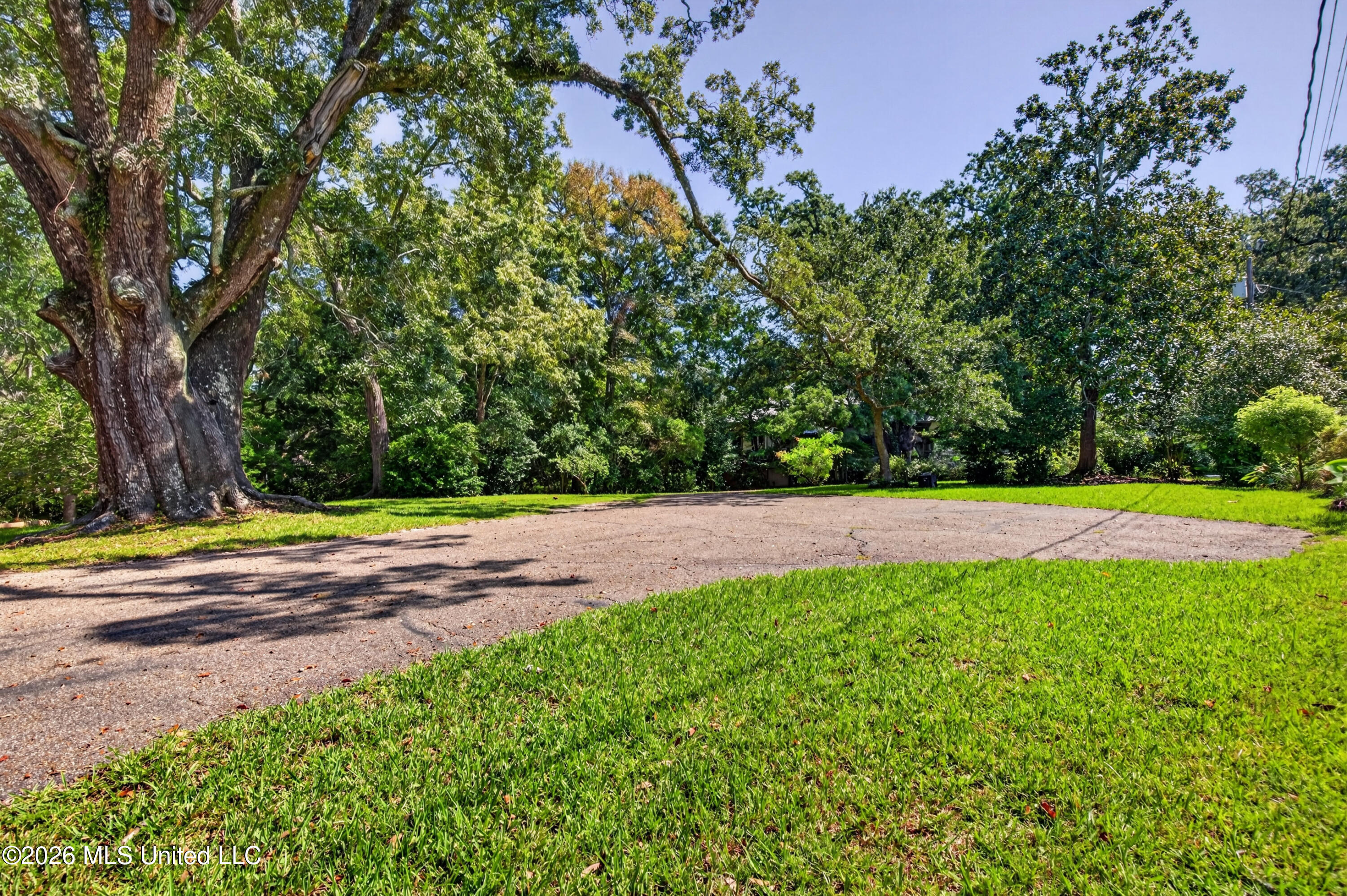14008 Bay Sweep Circle Property Photo 7