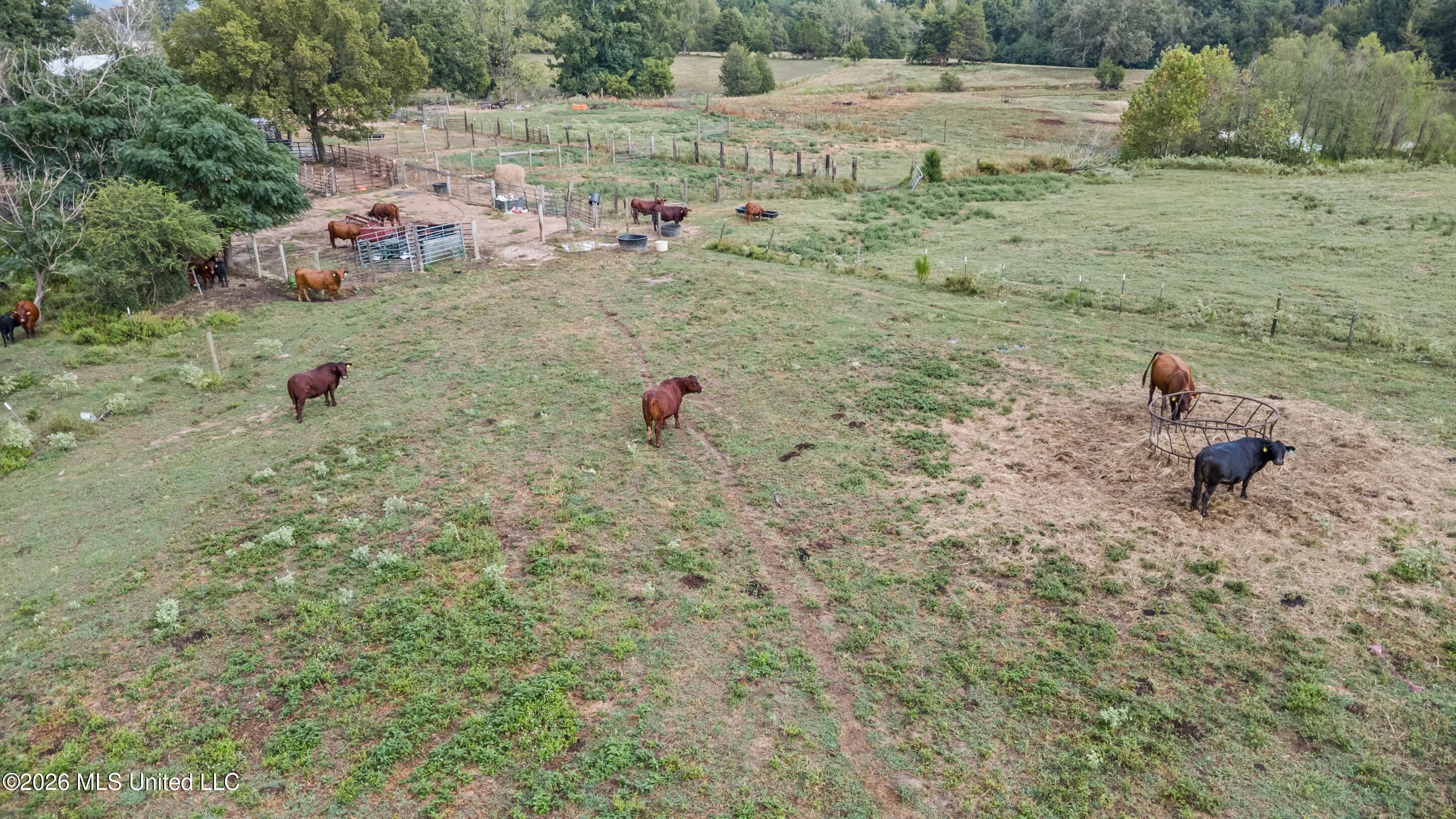 718 Mount Zion Road Property Photo 36