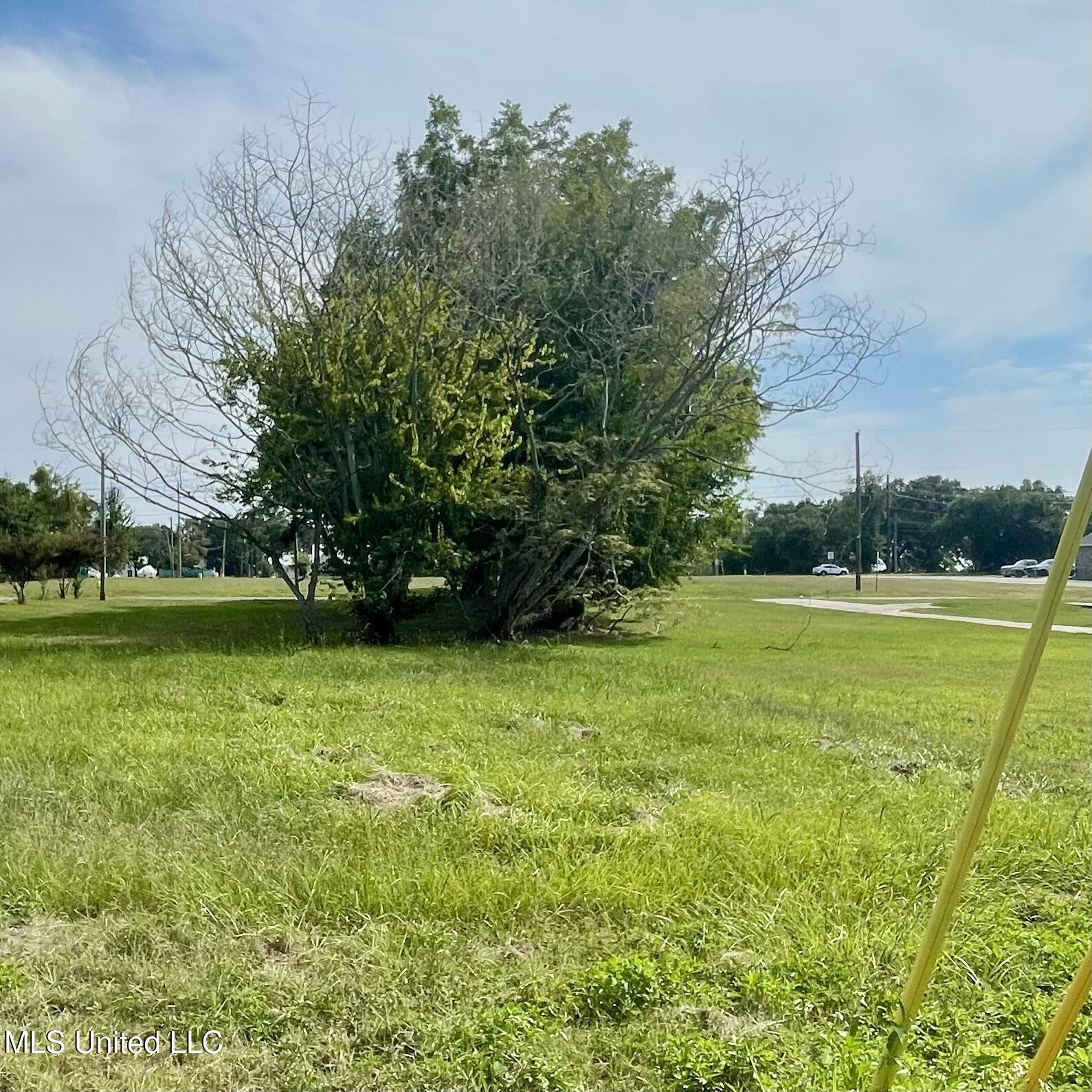387 Richmond Drive Property Photo 1