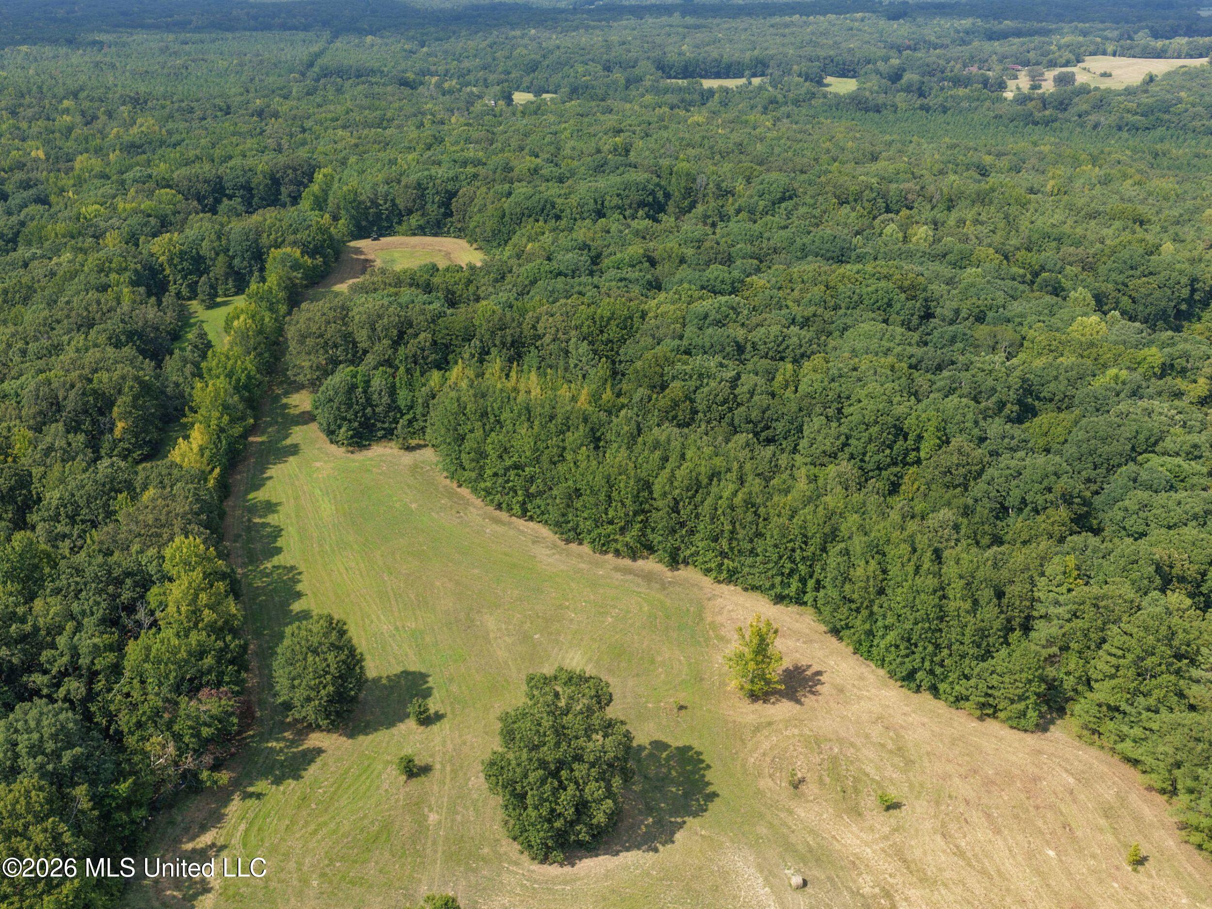 24769 Highway 315 Property Photo 31