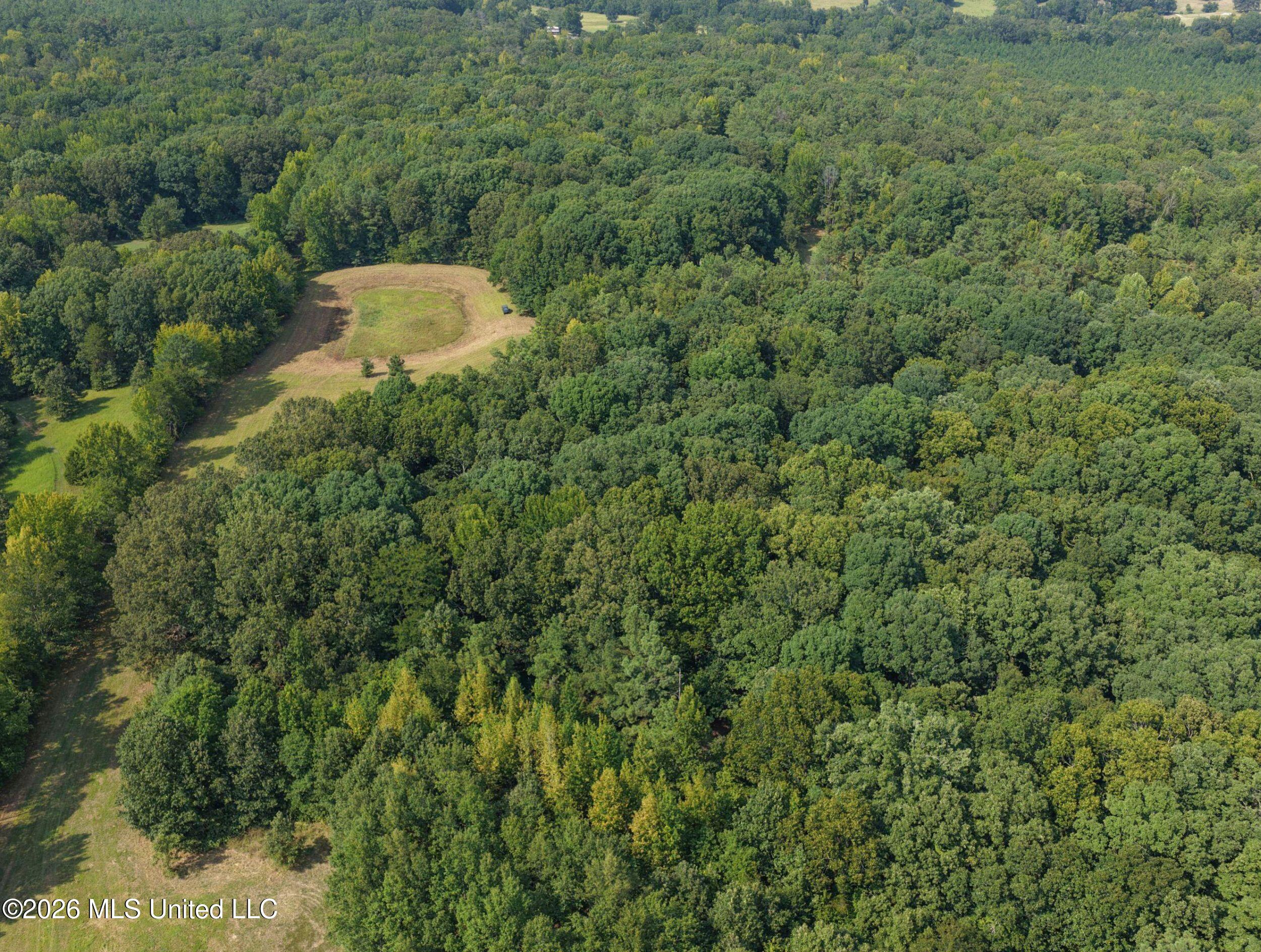 24769 Highway 315 Property Photo 32