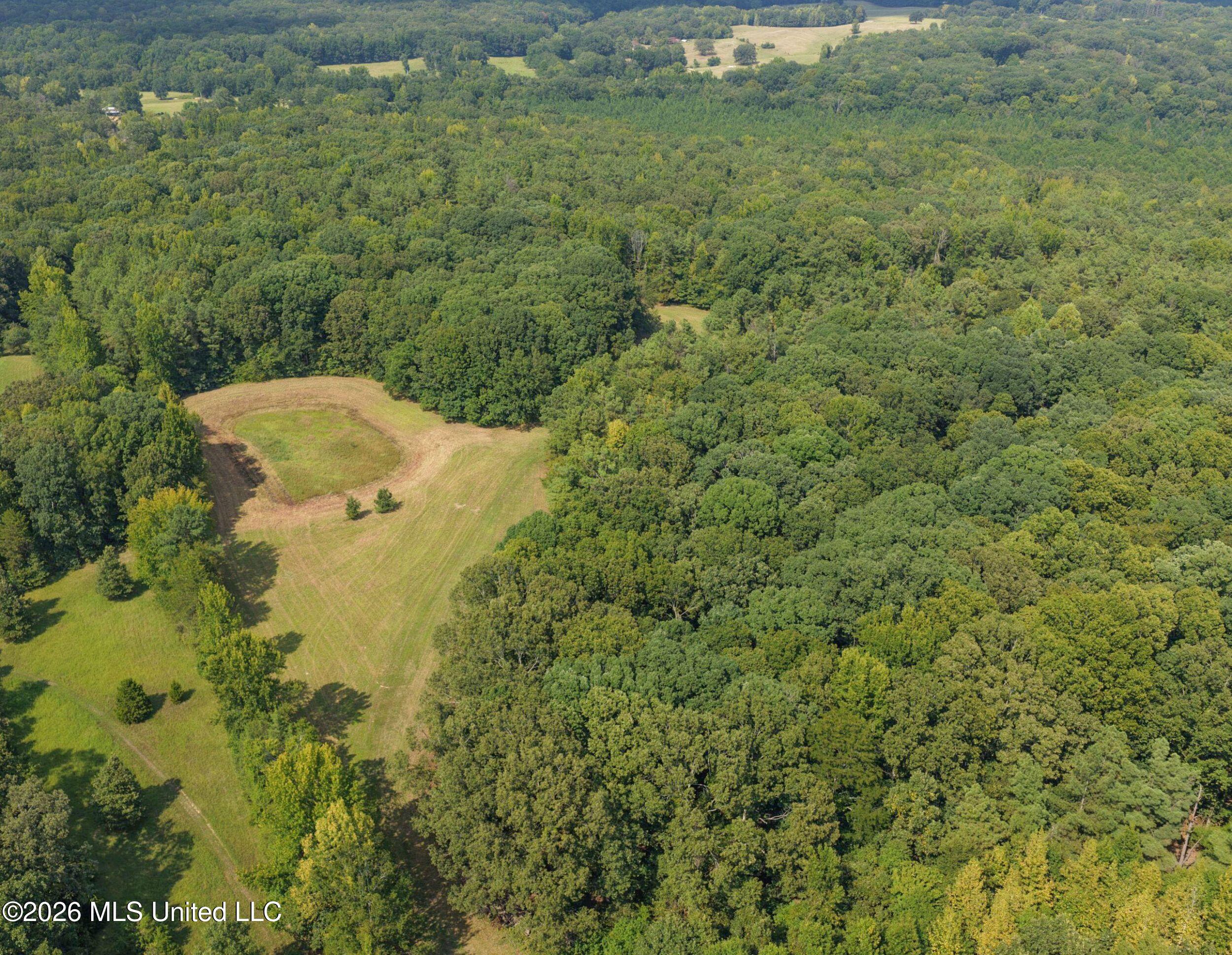 24769 Highway 315 Property Photo 33