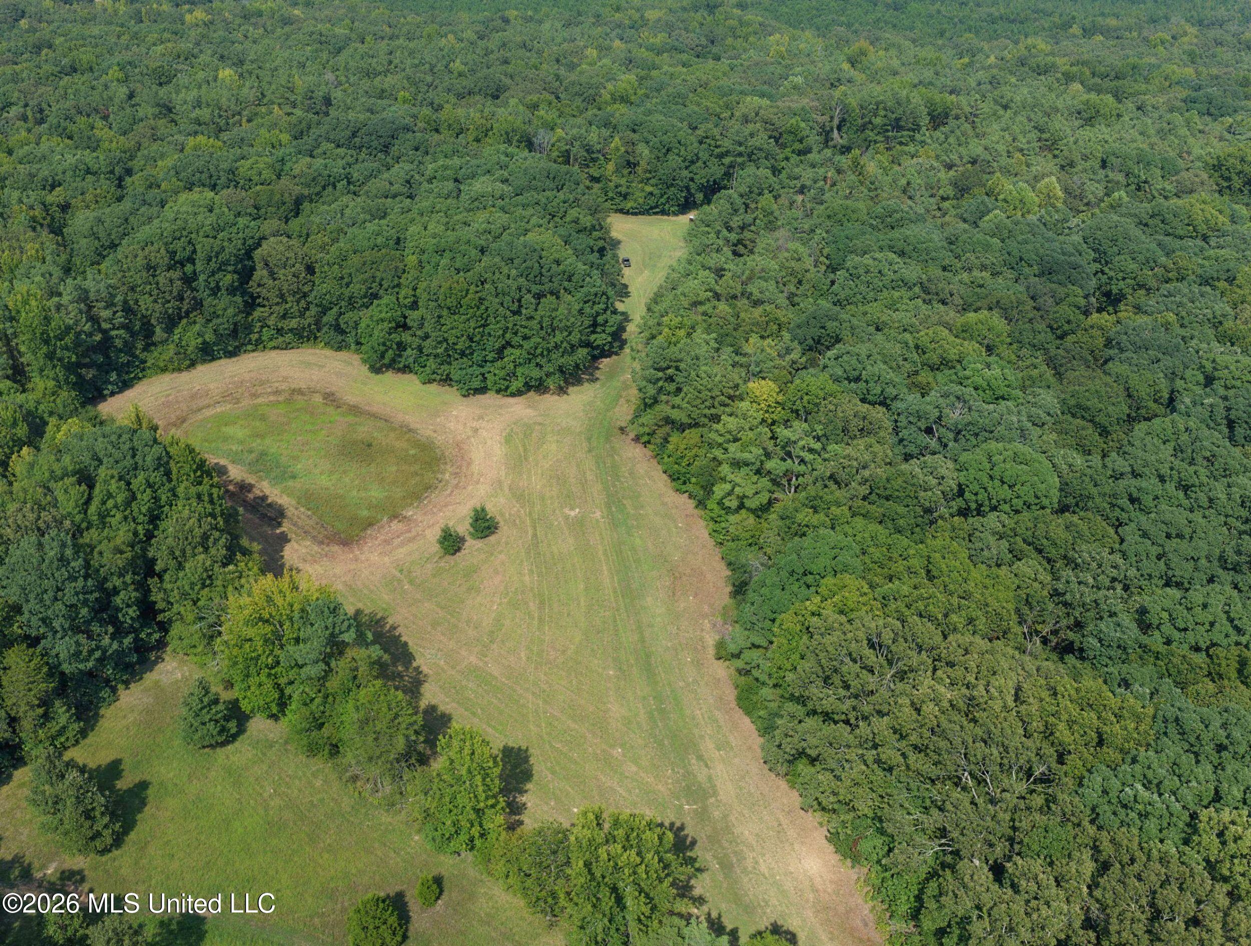 24769 Highway 315 Property Photo 34