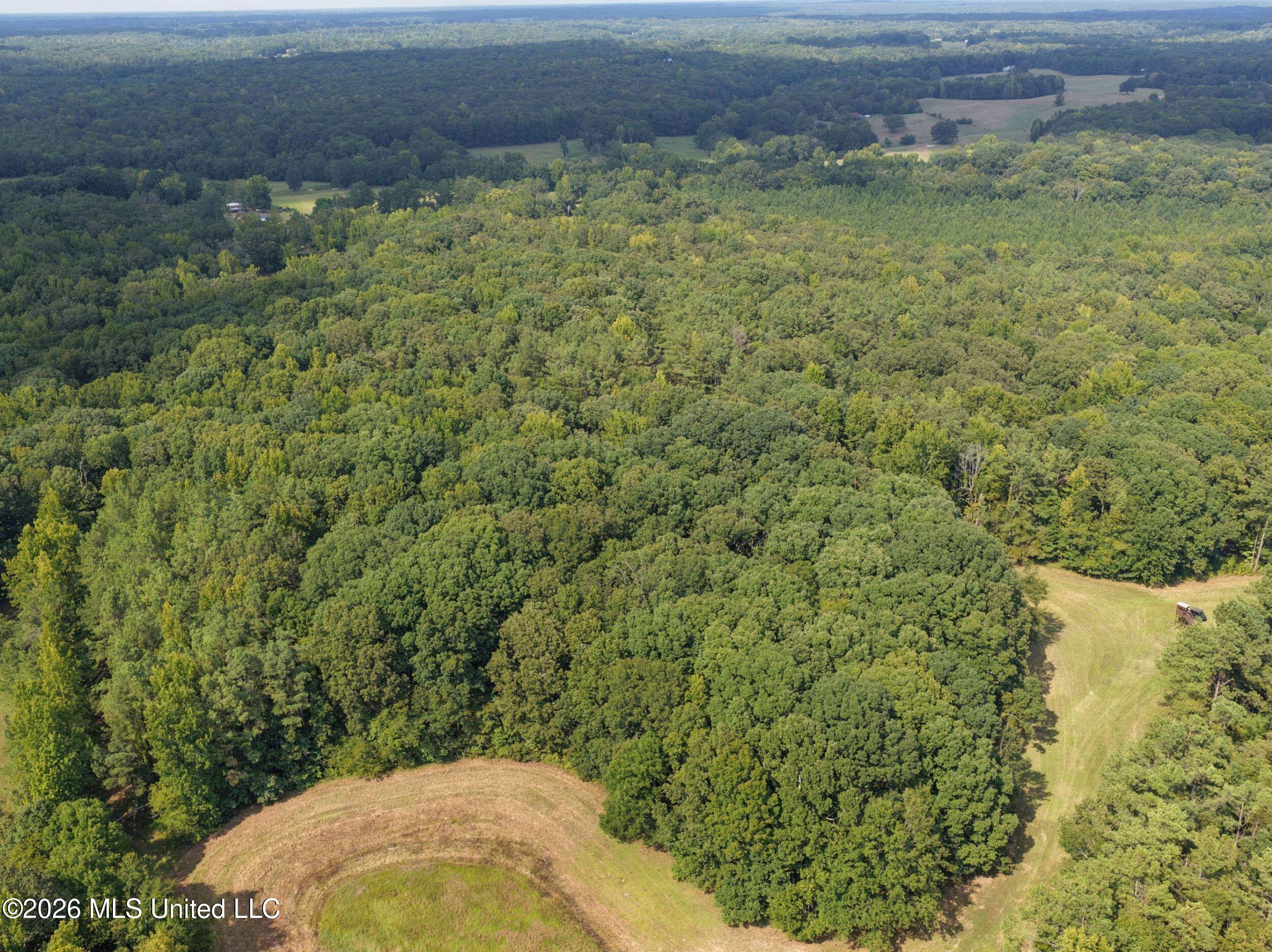 24769 Highway 315 Property Photo 35