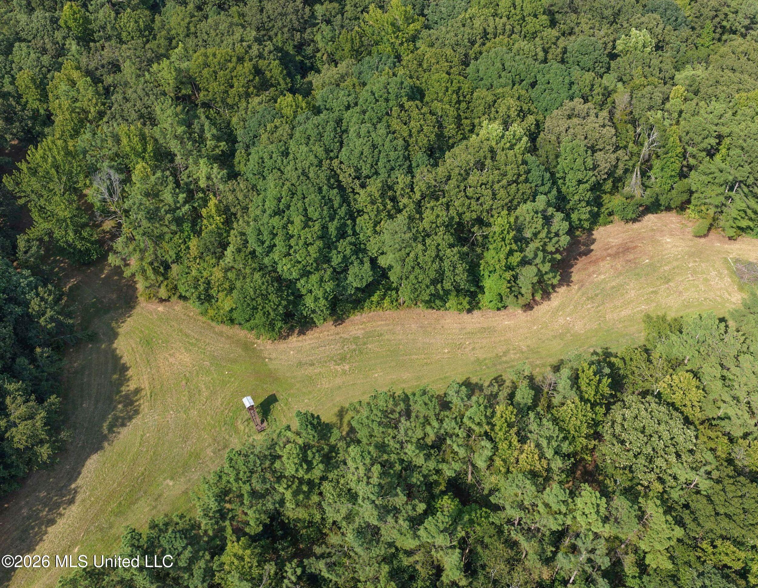 24769 Highway 315 Property Photo 36