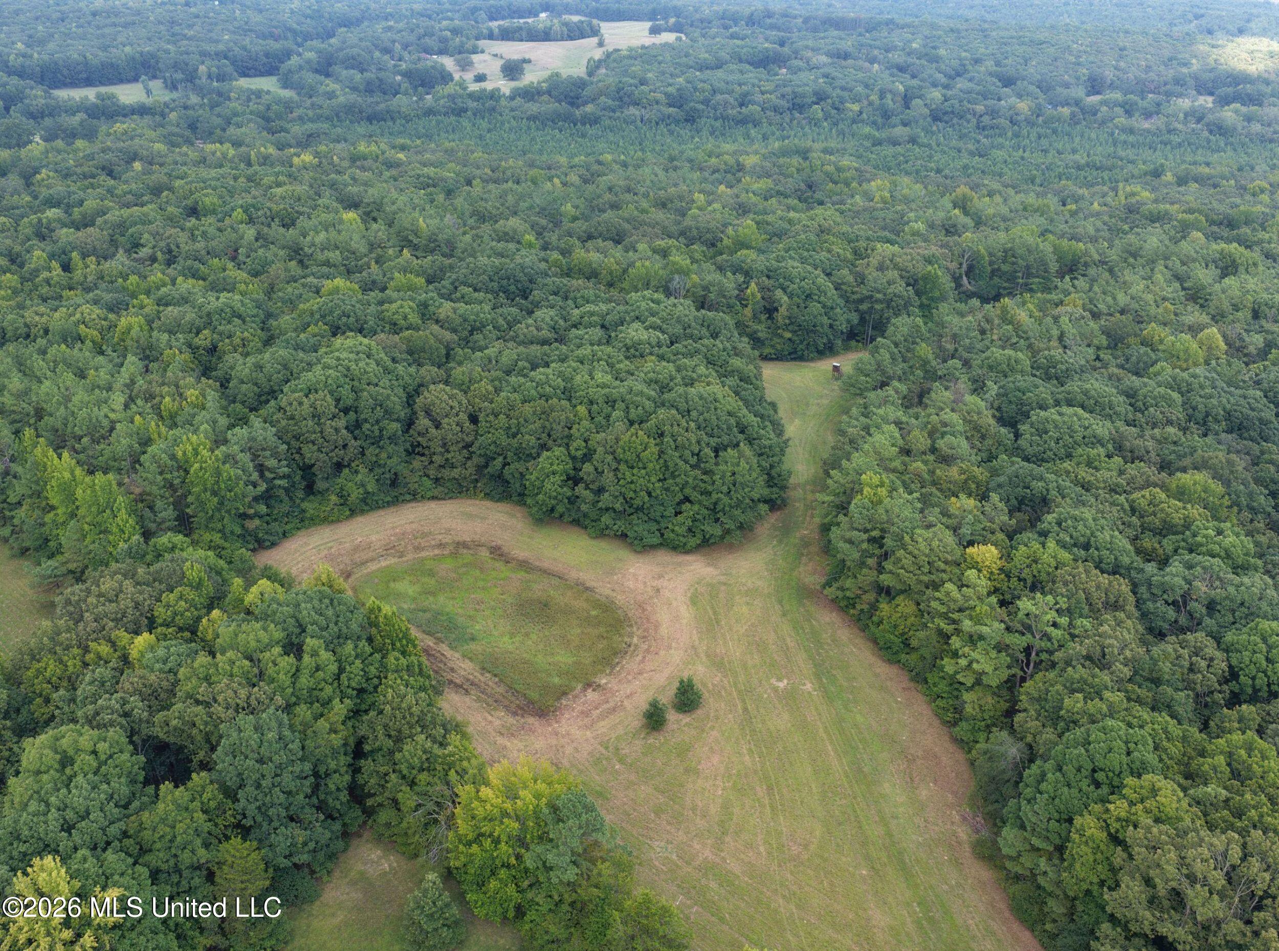 24769 Highway 315 Property Photo 38