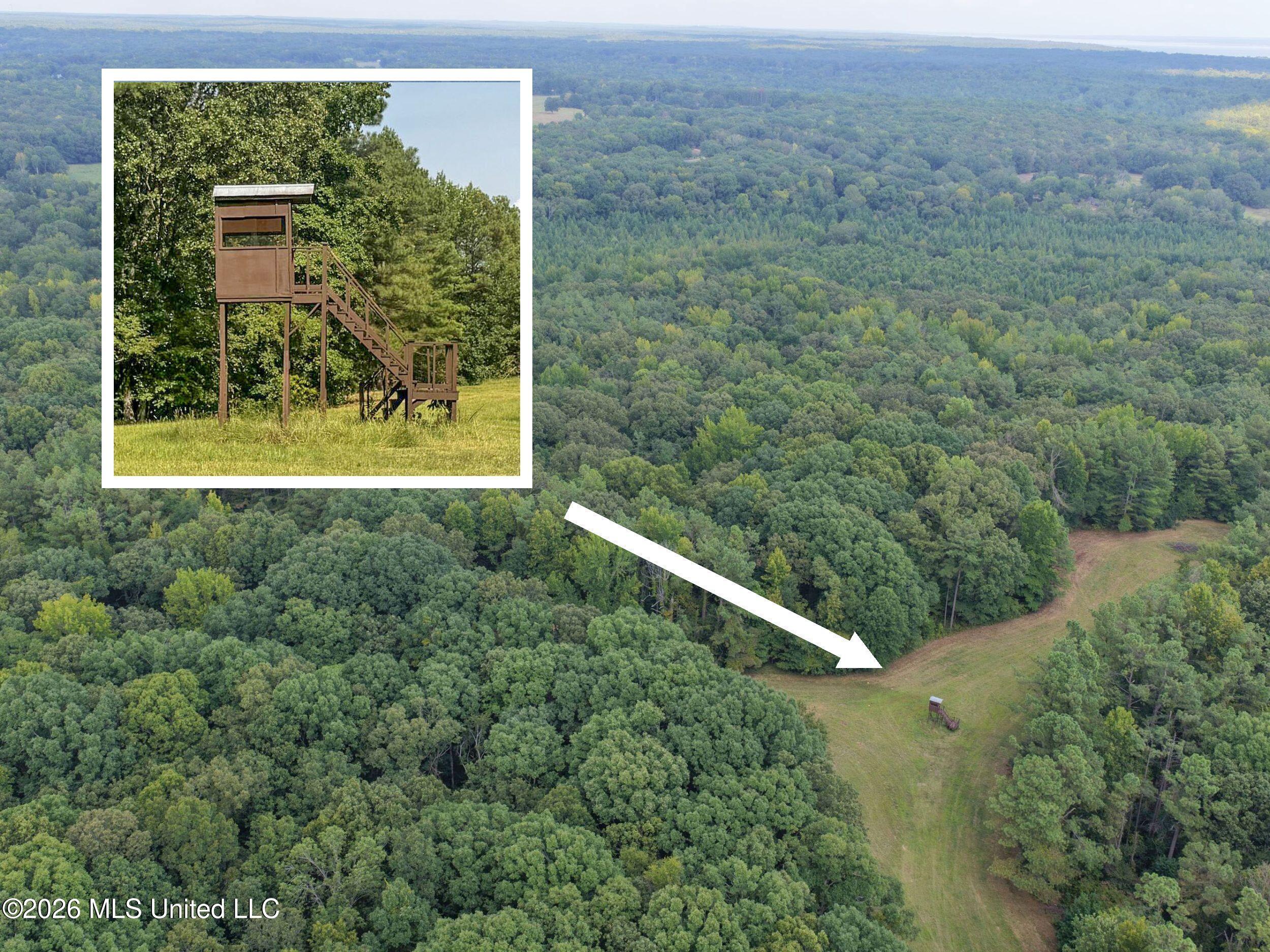 24769 Highway 315 Property Photo 39