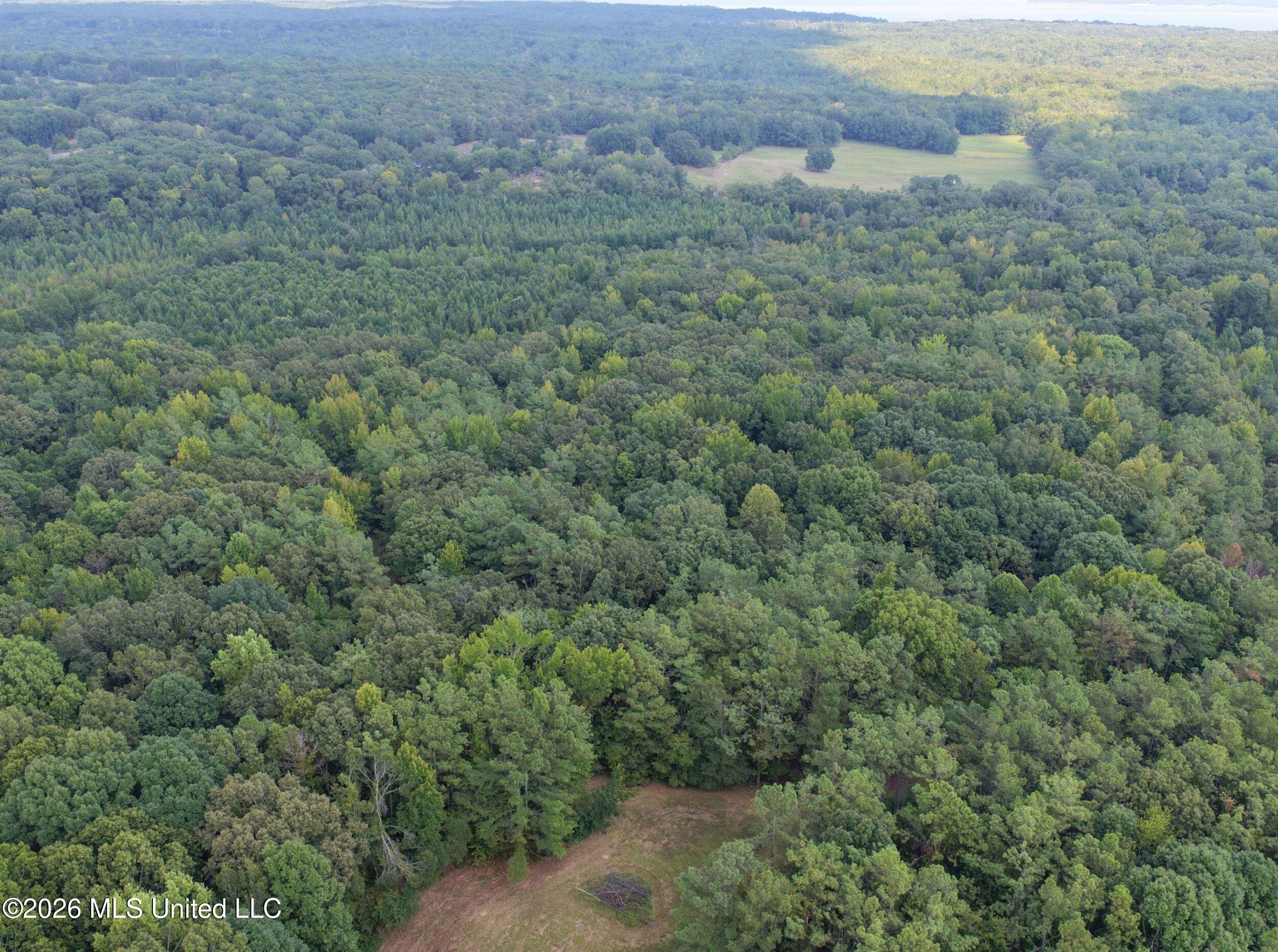 24769 Highway 315 Property Photo 40