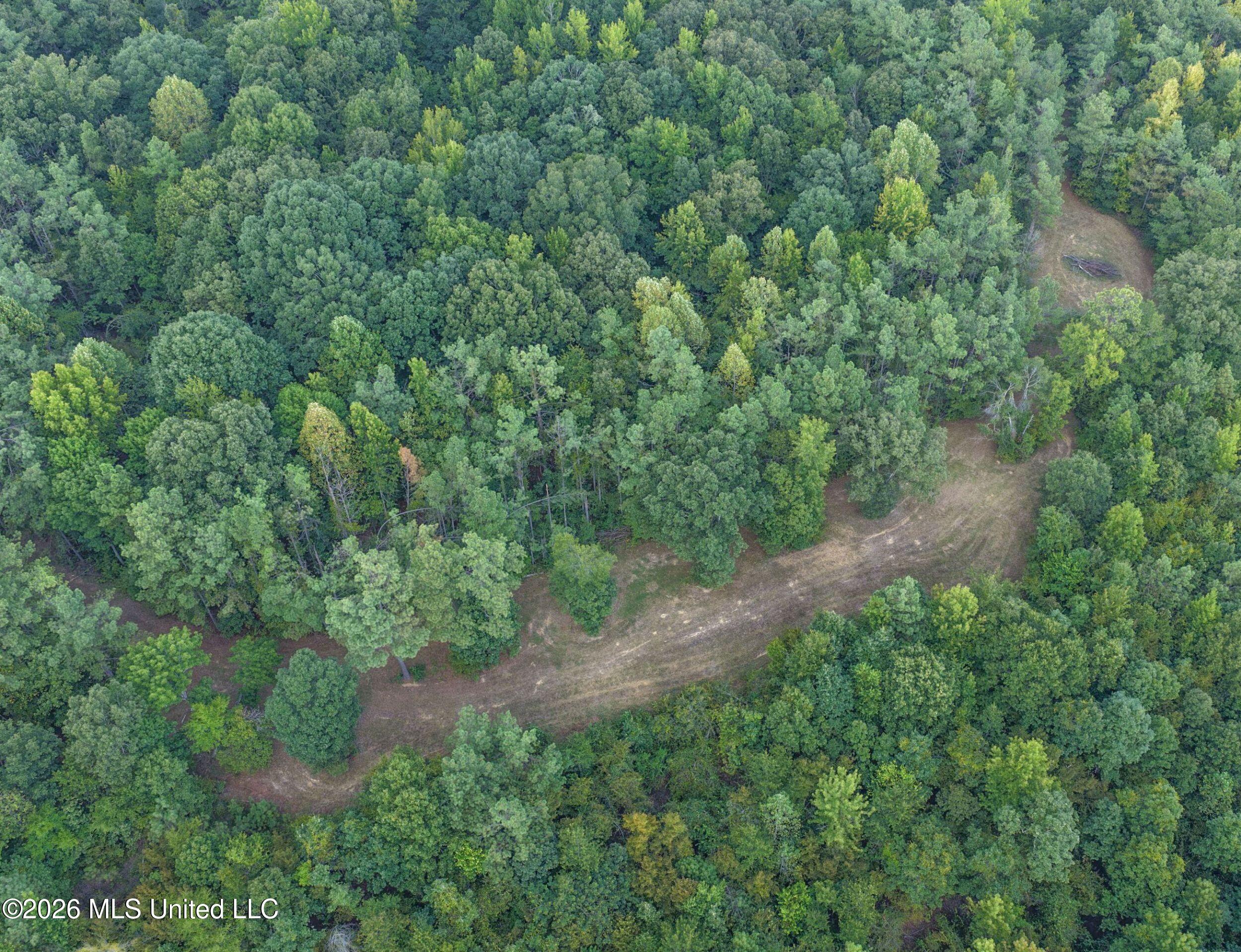 24769 Highway 315 Property Photo 42