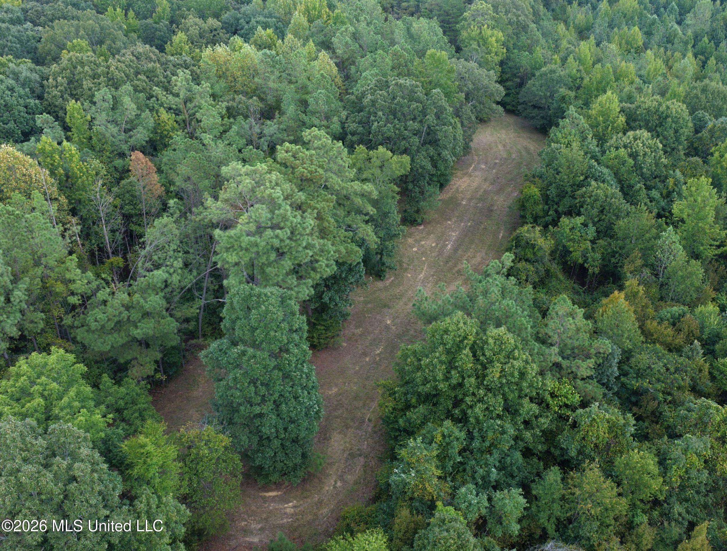 24769 Highway 315 Property Photo 43