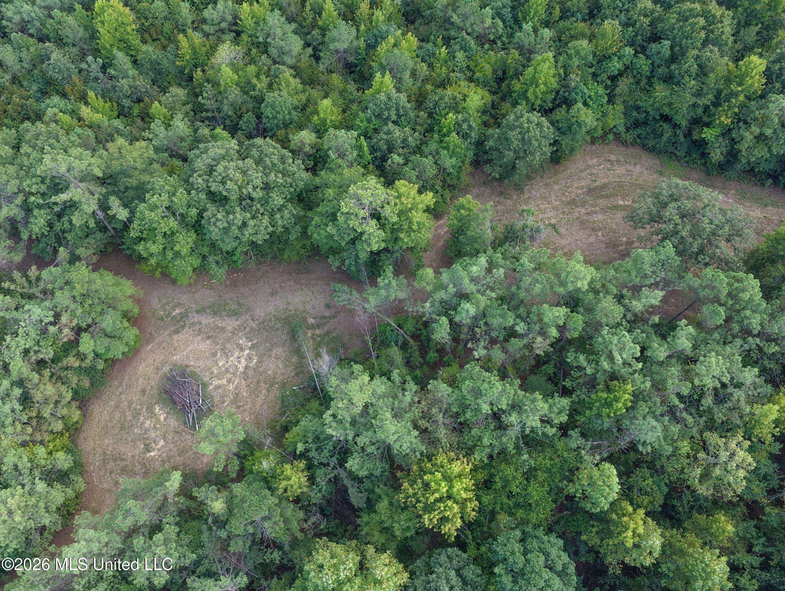24769 Highway 315 Property Photo 46
