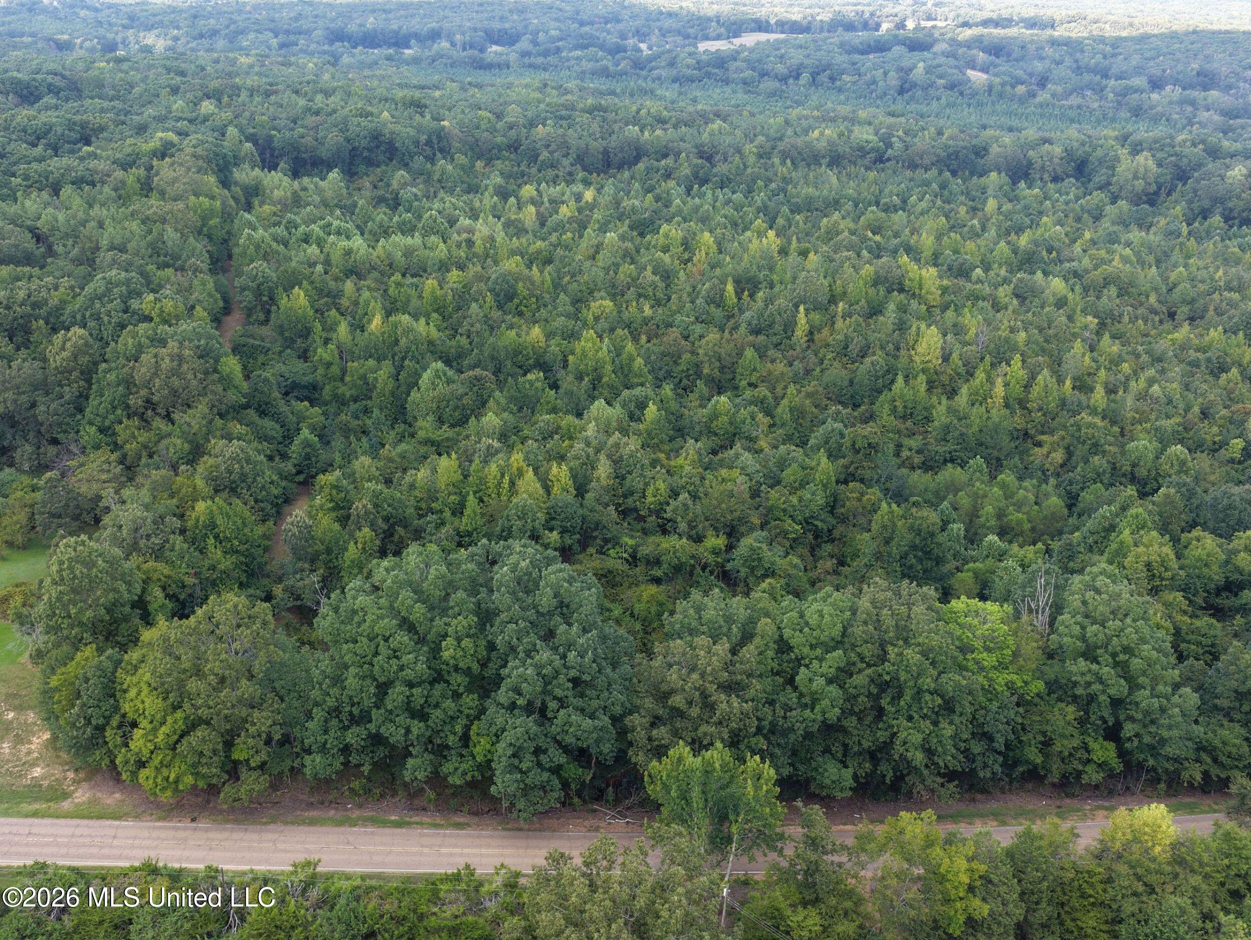 24769 Highway 315 Property Photo 47