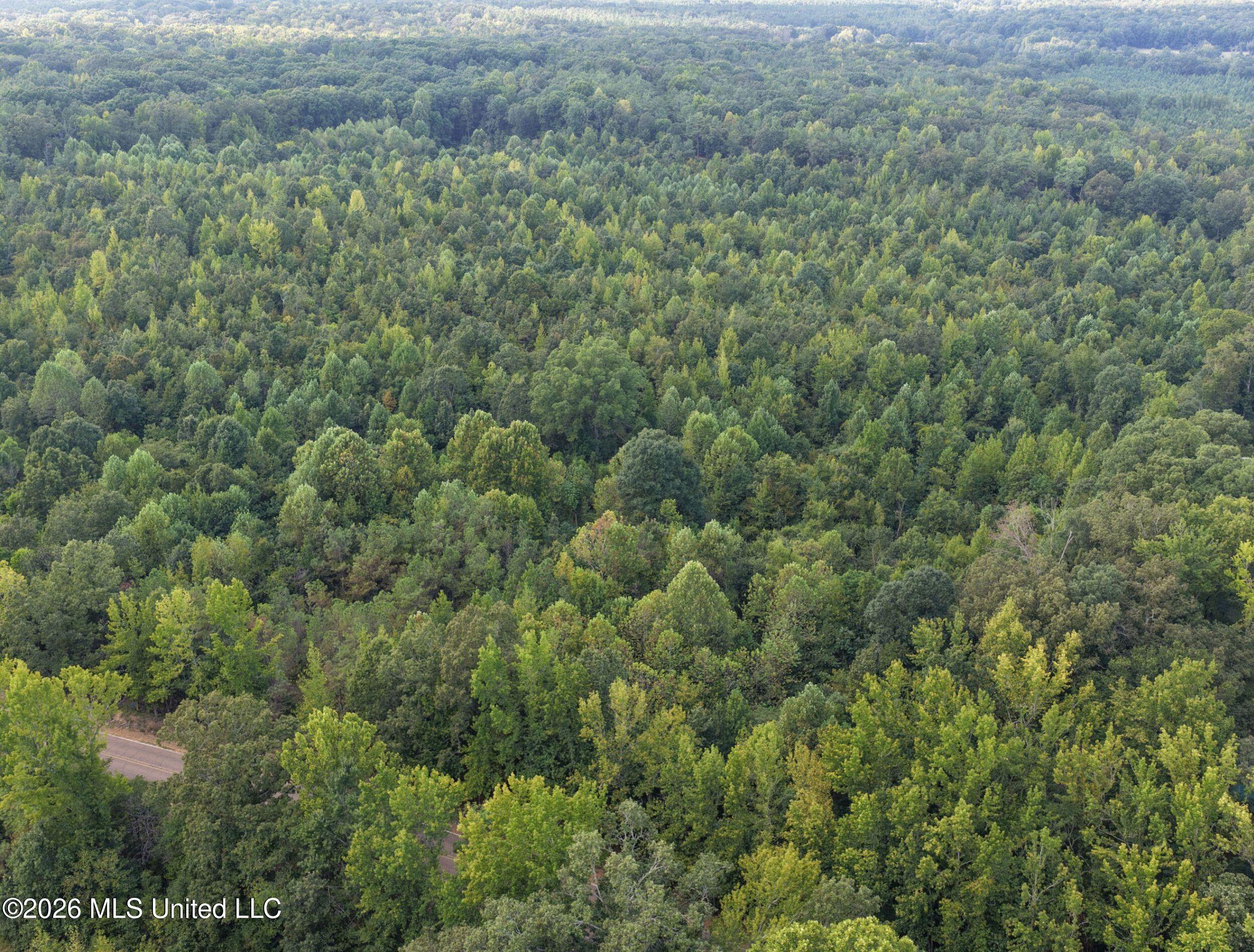 24769 Highway 315 Property Photo 48