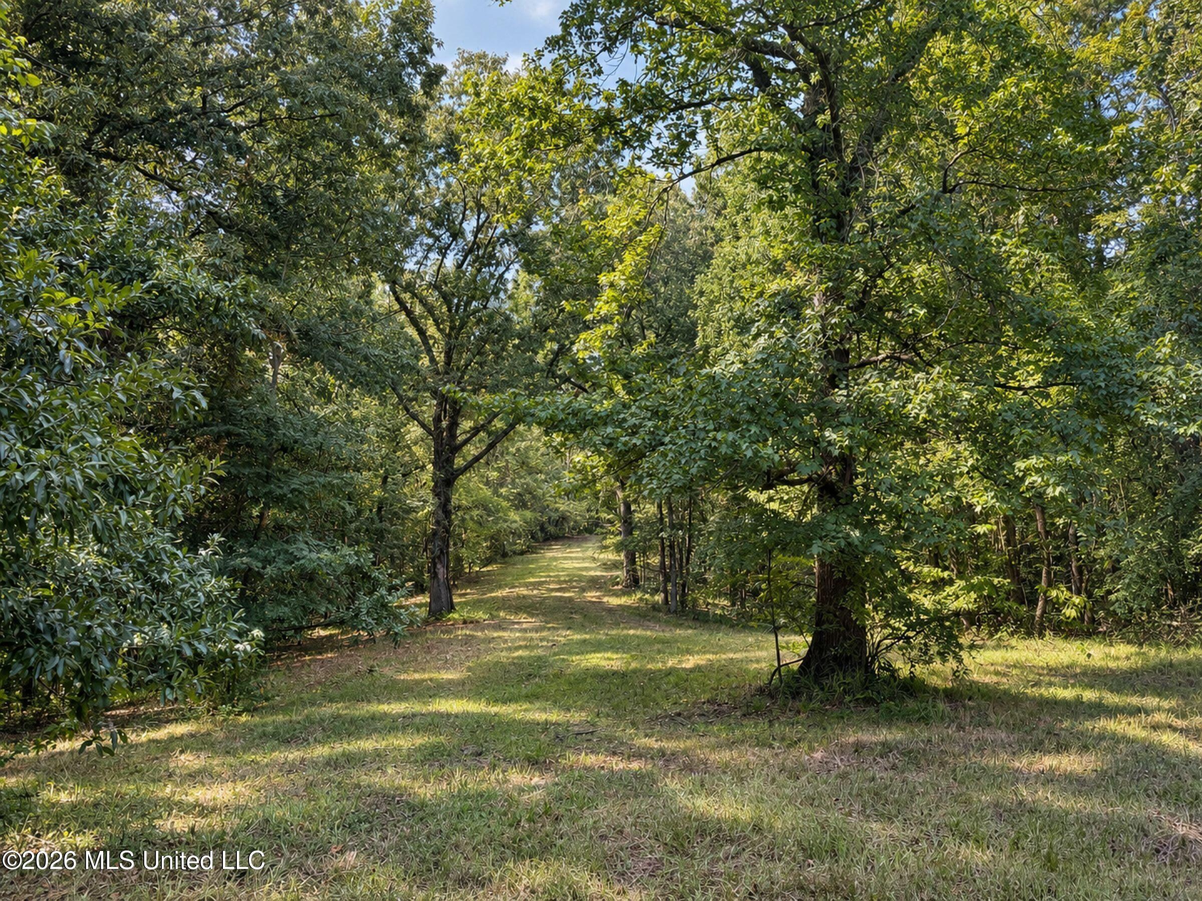 24769 Highway 315 Property Photo 144