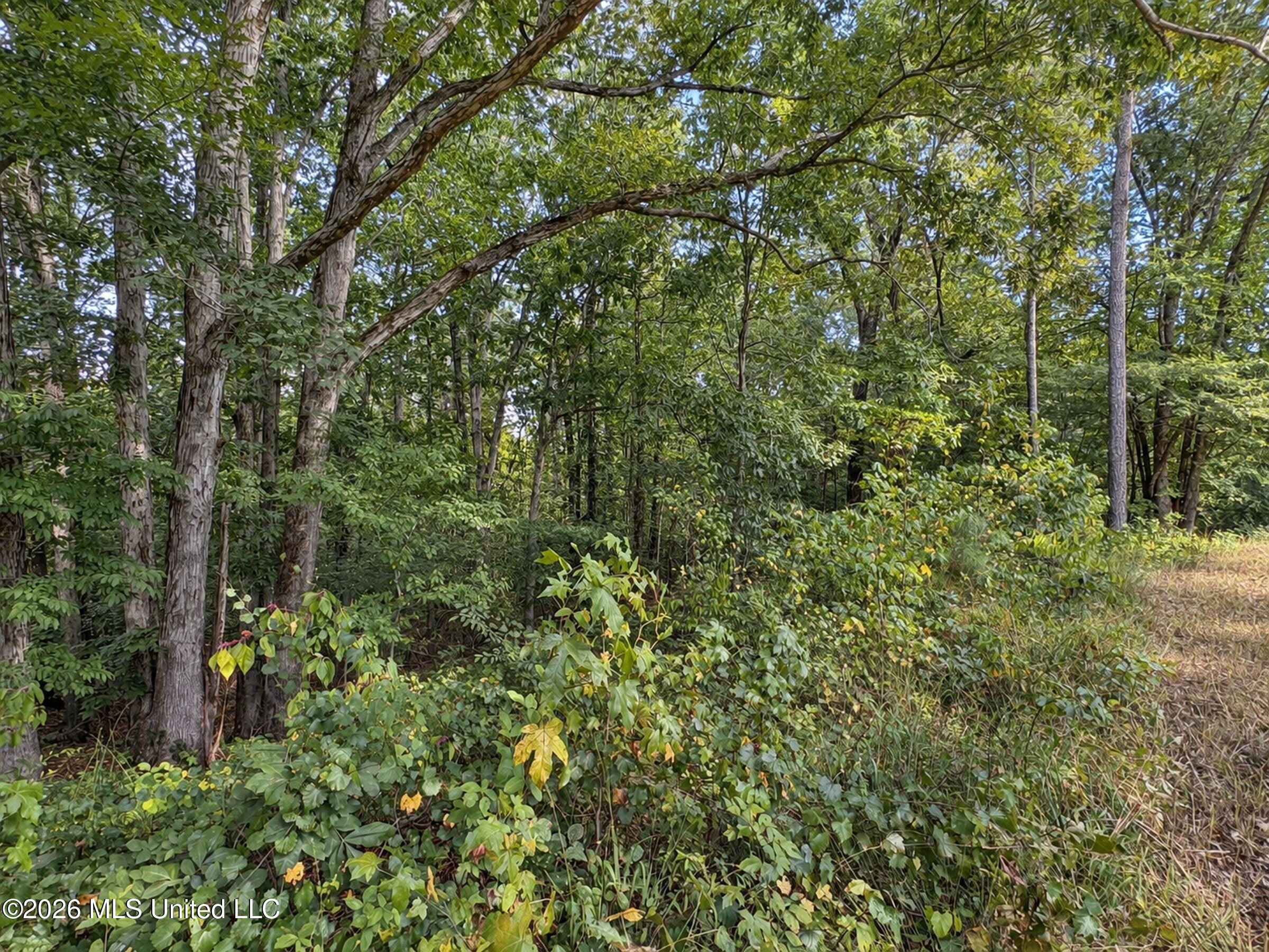 24769 Highway 315 Property Photo 150