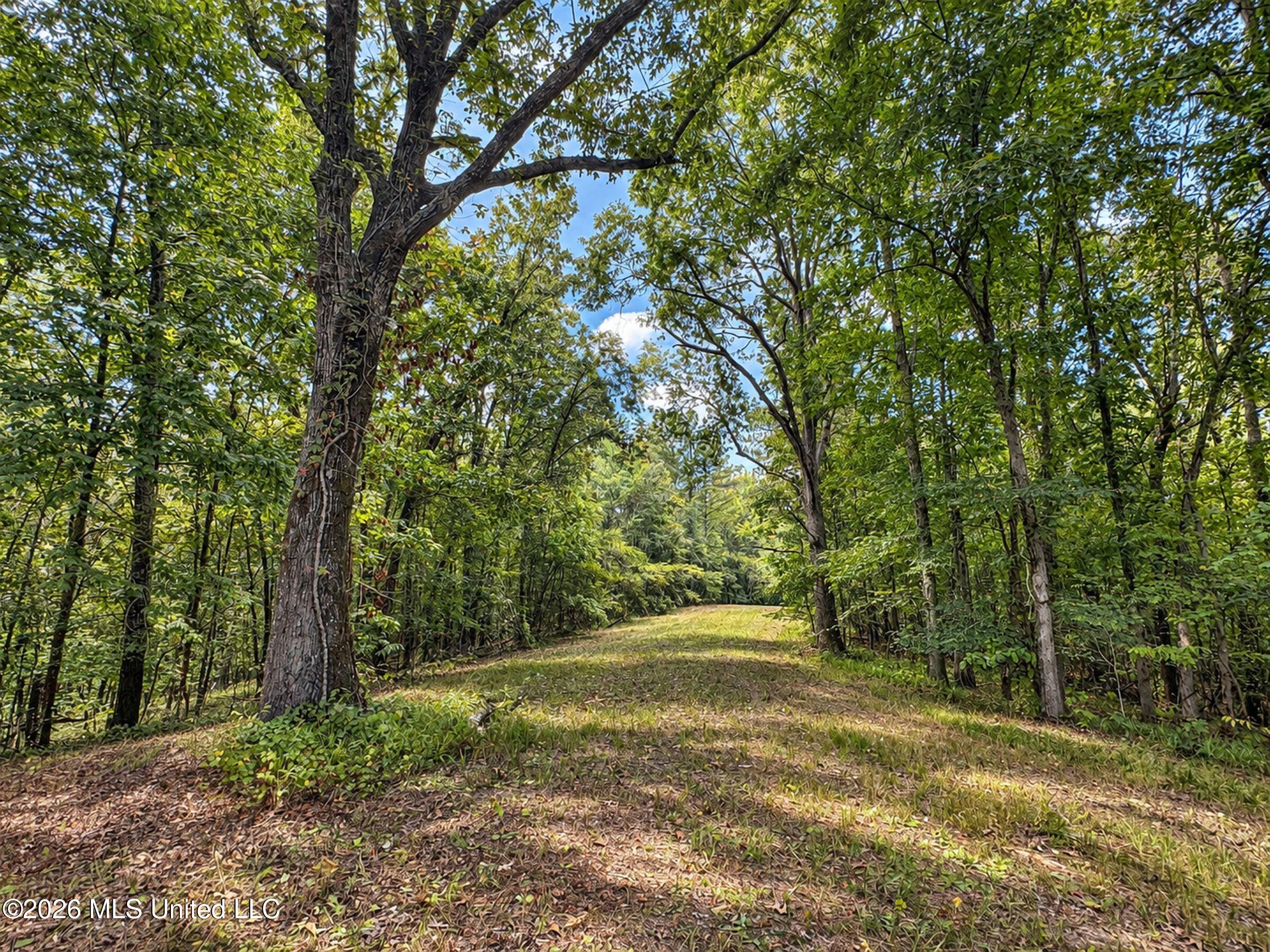 24769 Highway 315 Property Photo 152