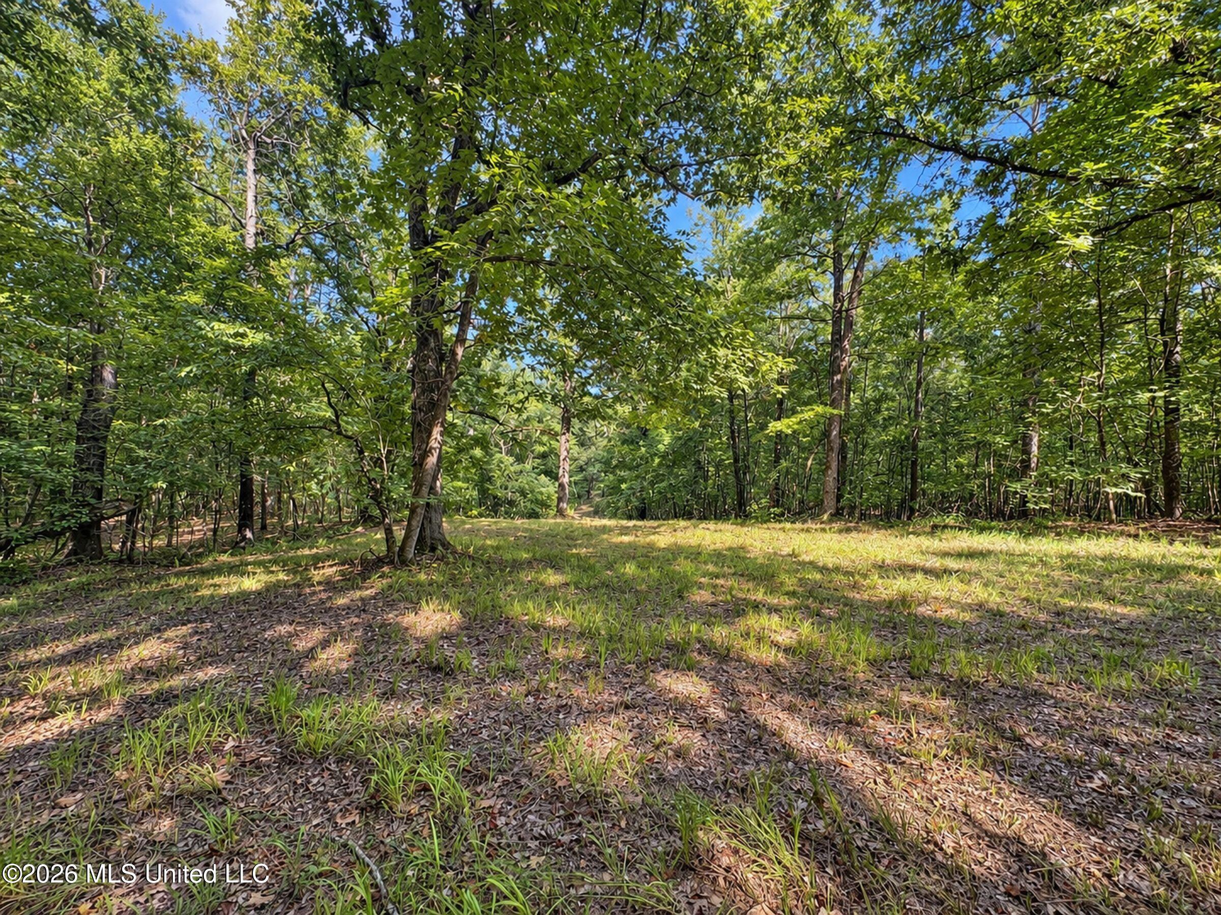 24769 Highway 315 Property Photo 153