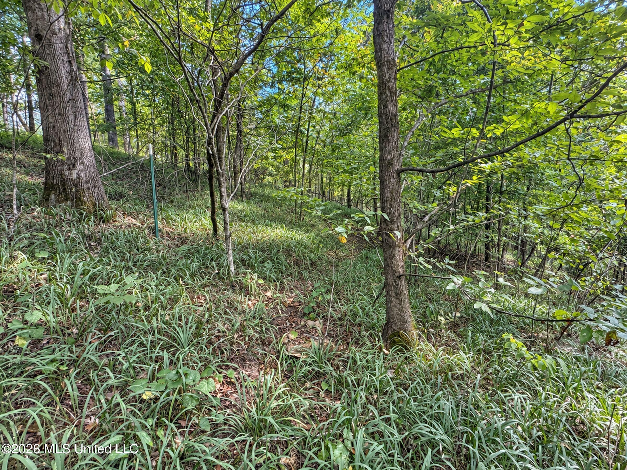 24769 Highway 315 Property Photo 154
