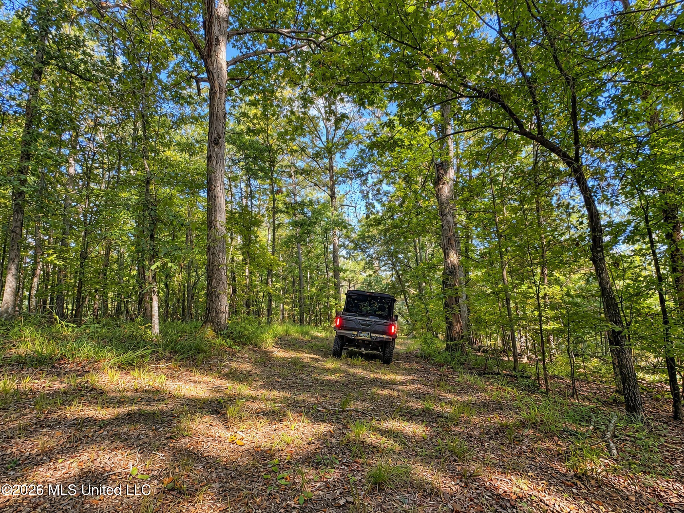 24769 Highway 315 Property Photo 155