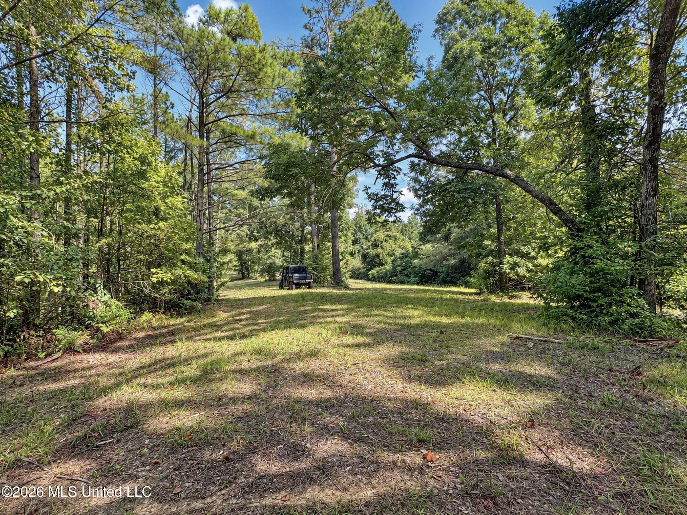 24769 Highway 315 Property Photo 156