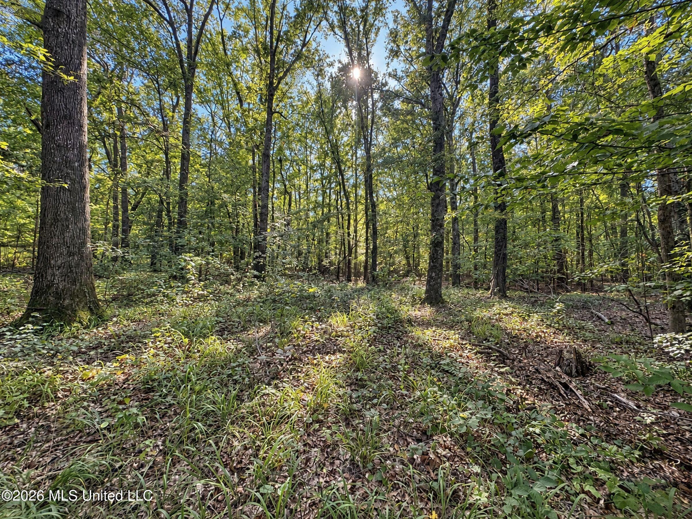 24769 Highway 315 Property Photo 158