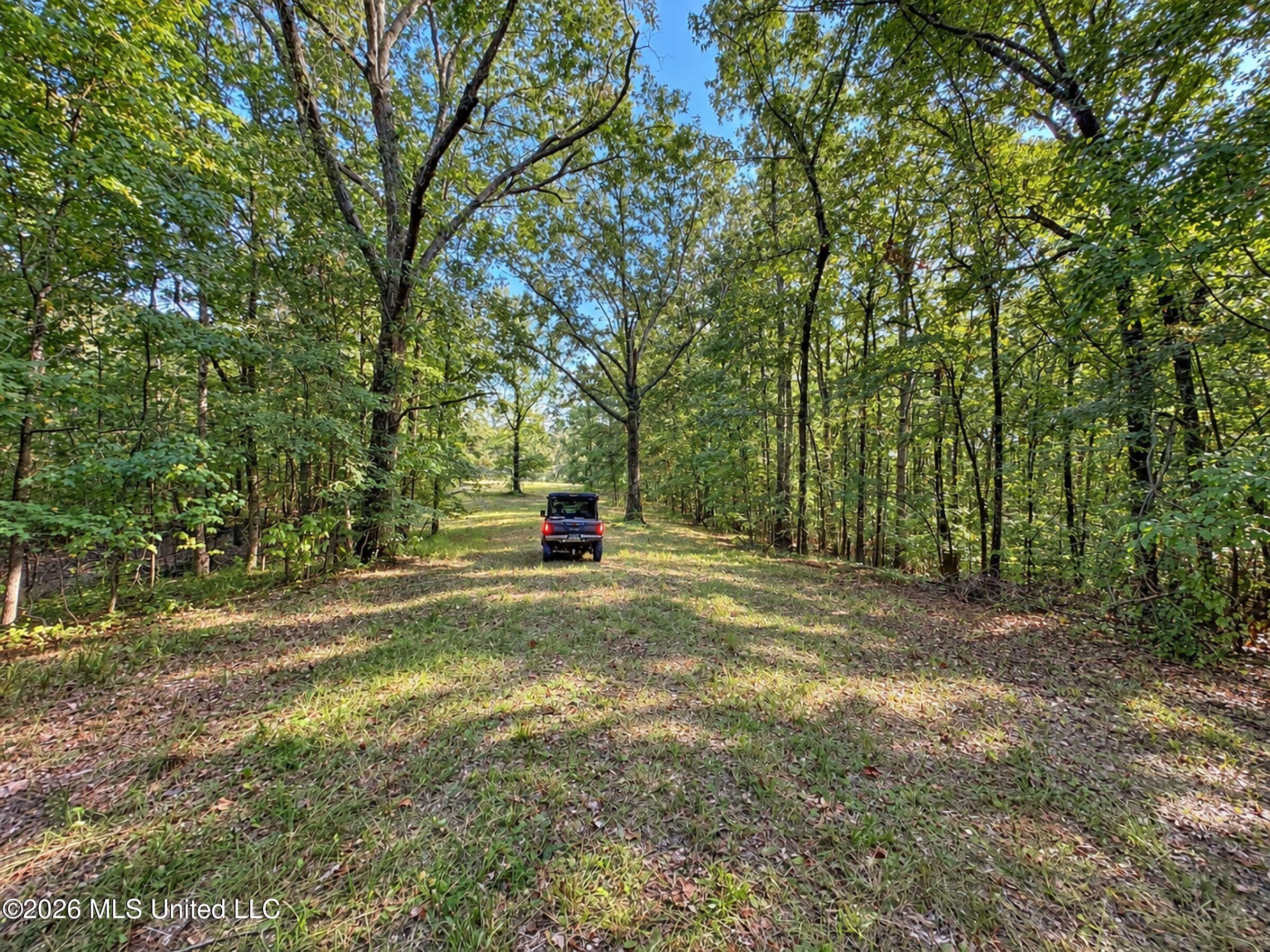24769 Highway 315 Property Photo 159