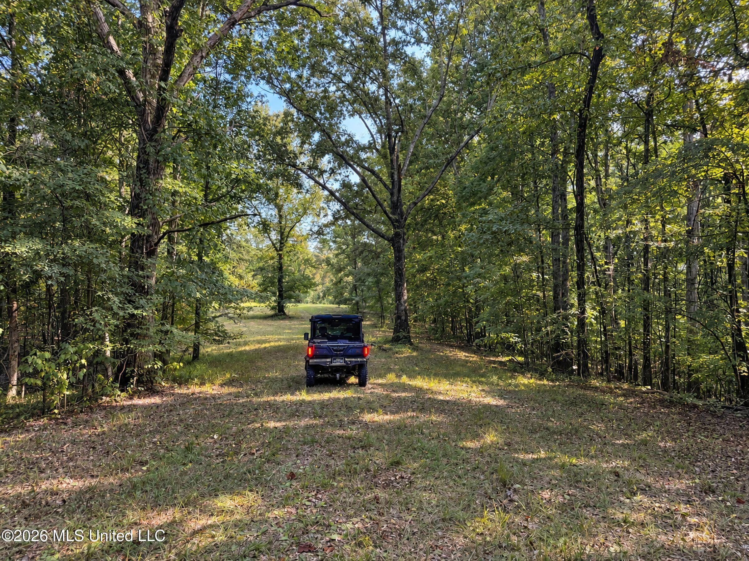 24769 Highway 315 Property Photo 160