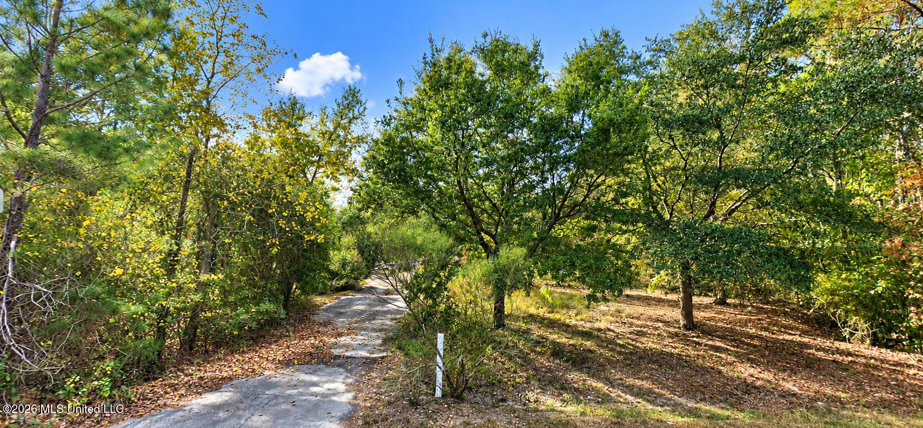 201 Hunter Hollow Property Photo 1