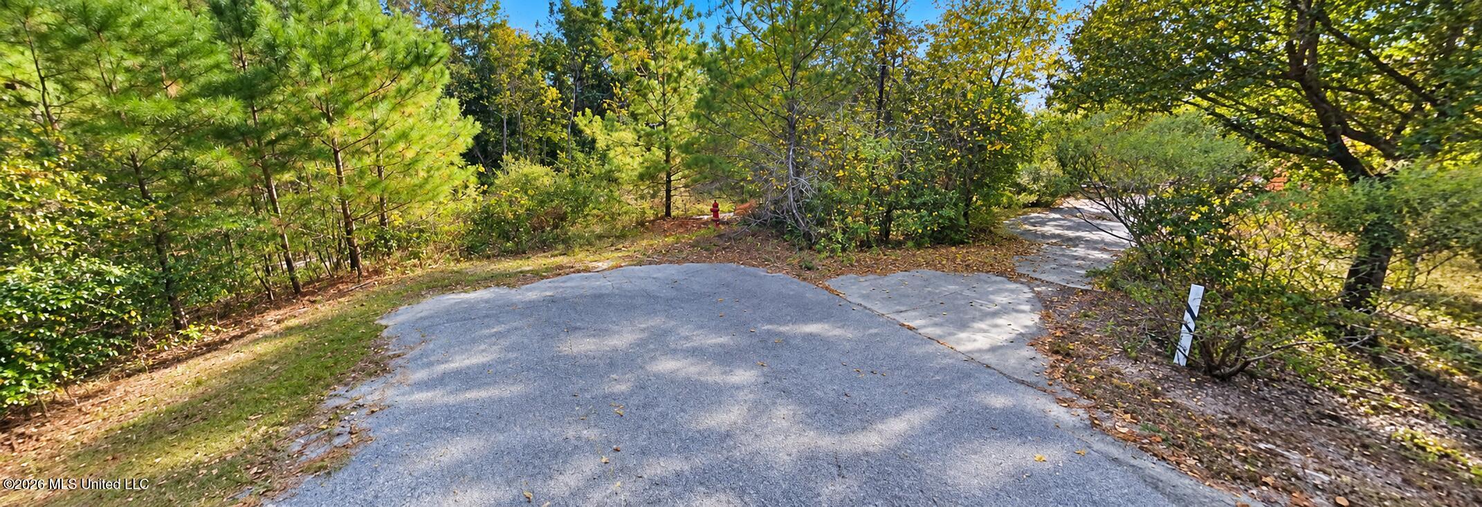 201 Hunter Hollow Property Photo 2