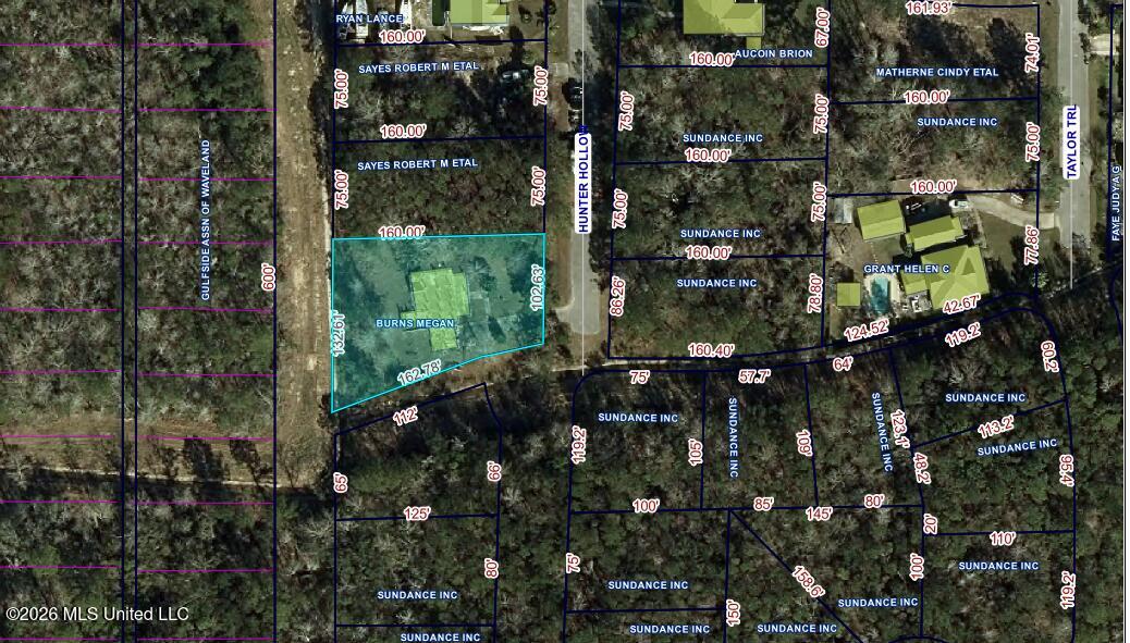 201 Hunter Hollow Property Photo 5